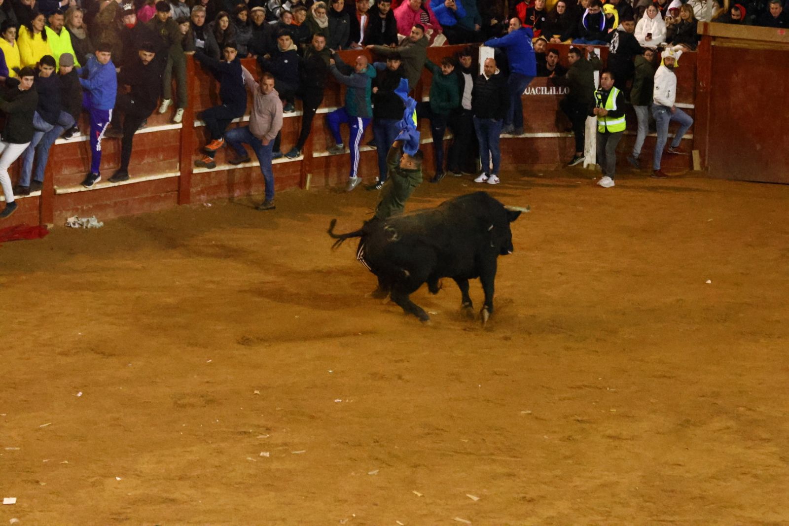 Capea nocturna de lunes en el Carnaval del Toro 2026