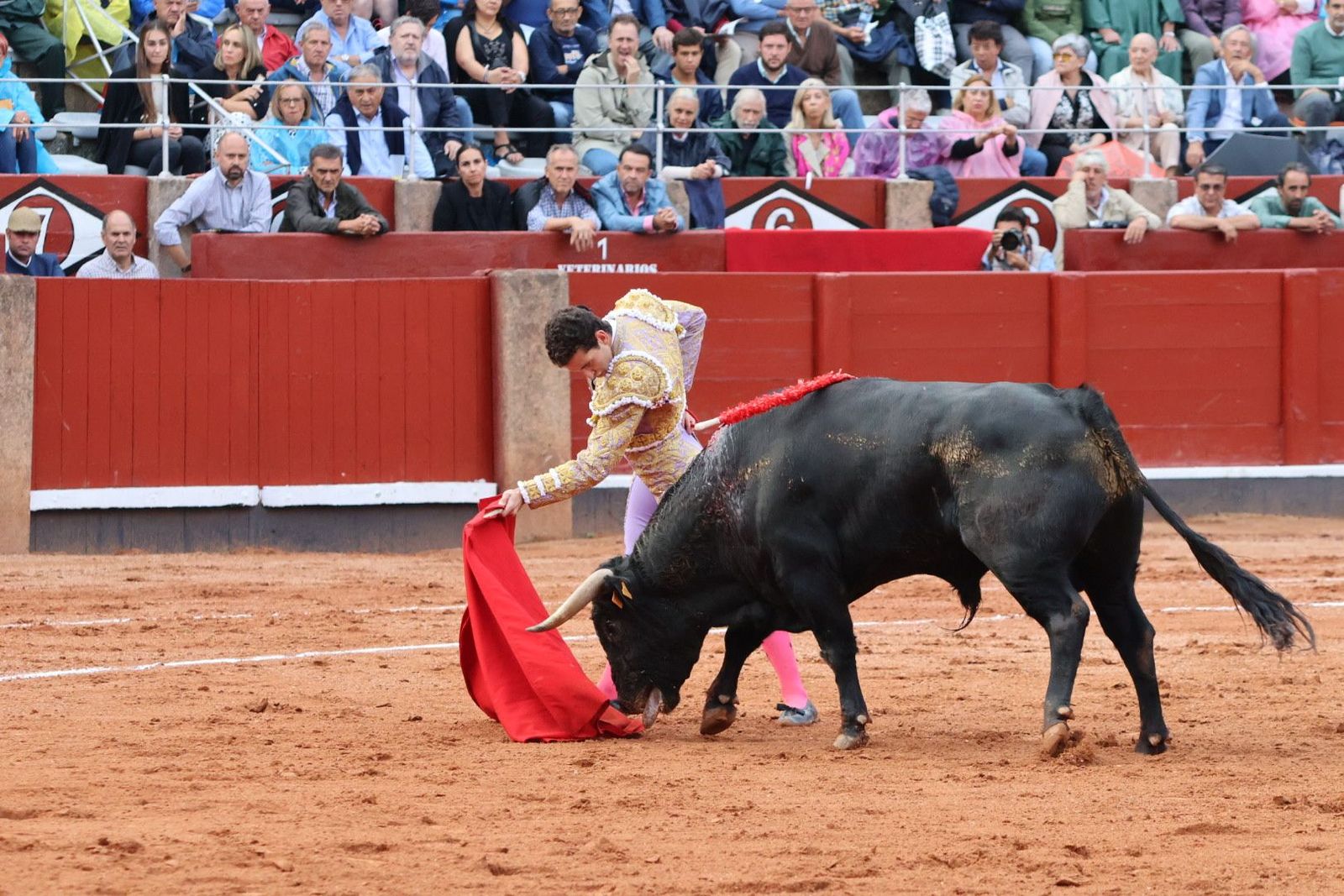 20230915183042-img-4149