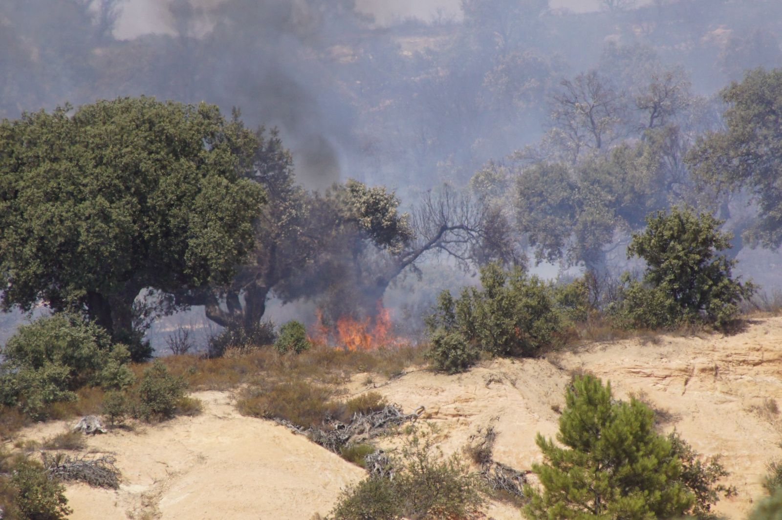 Imágenes del incendio originado en la zona del pinar de Alba de Tormes