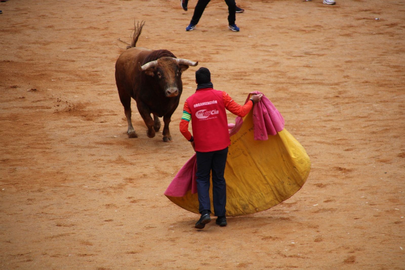 whatsapp-image-2025-03-01-at-13-18-35-2