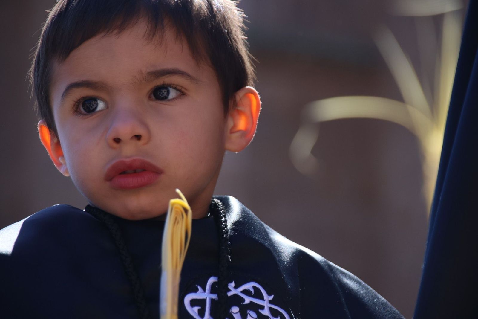 20230402114445-img-9511