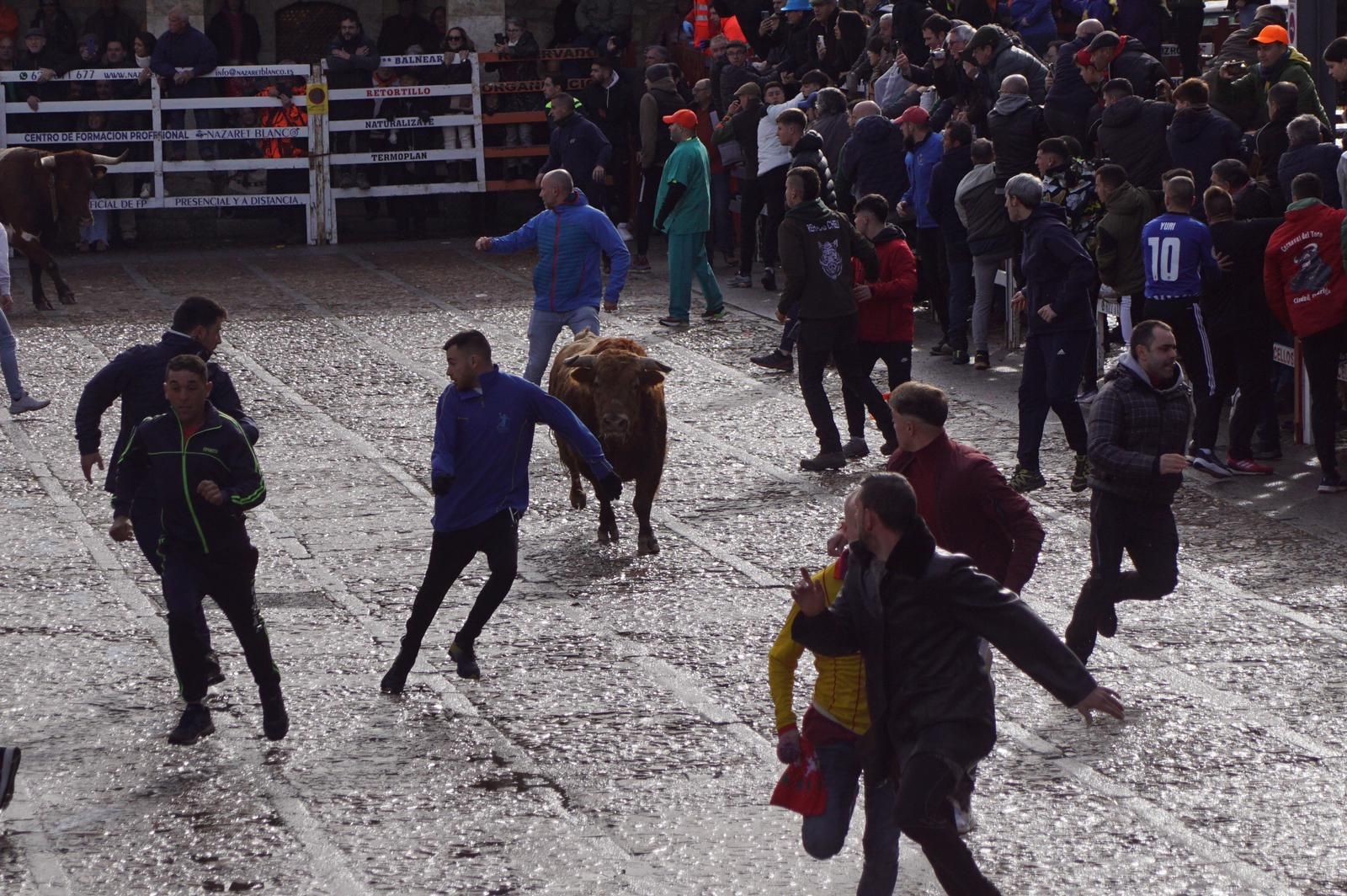 ambiente-encierro-urbano-lunes-de-carnaval-en-ciudad-rodrigo-12-de-febrero-de-2024-fotos-s24h-34