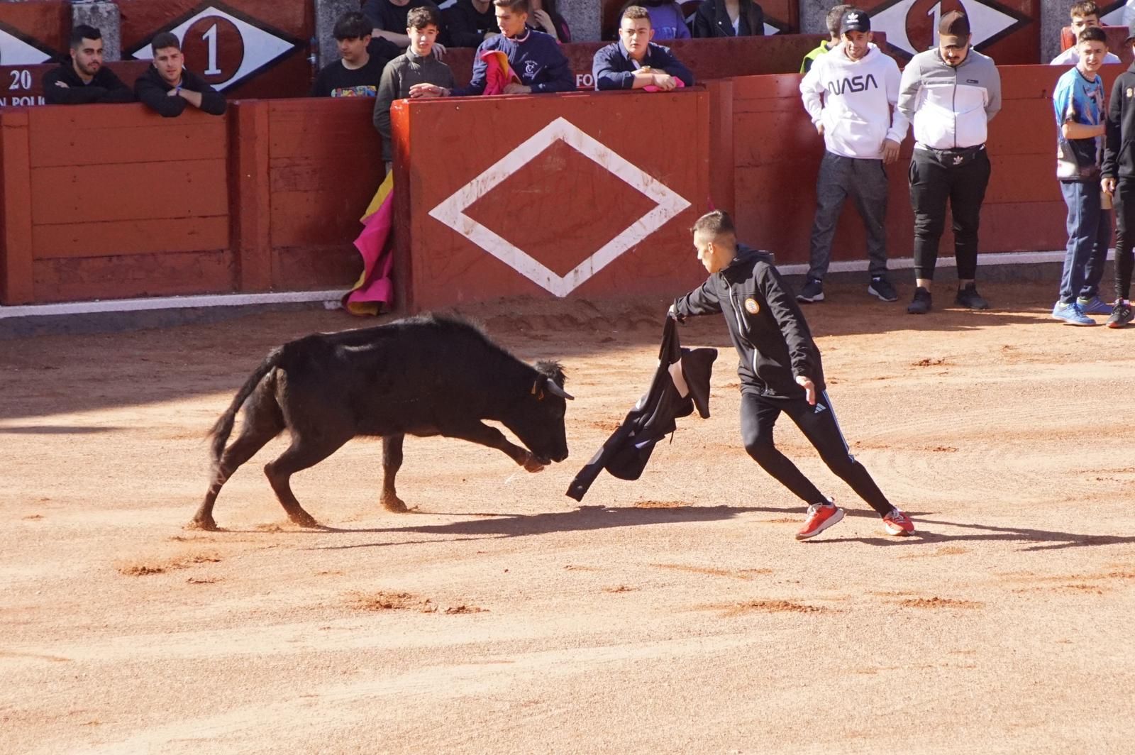 Suelta popular de vaquillas (29)