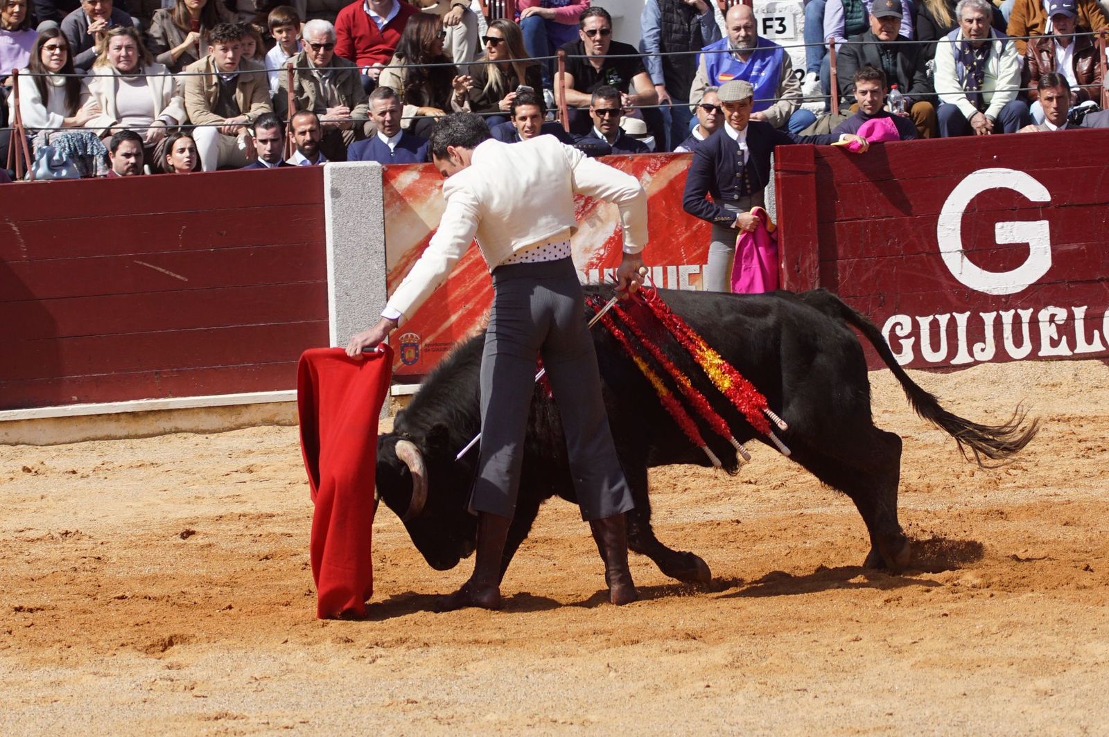 Festival taurino solidario por la esclerosis múltiple en Guijuelo