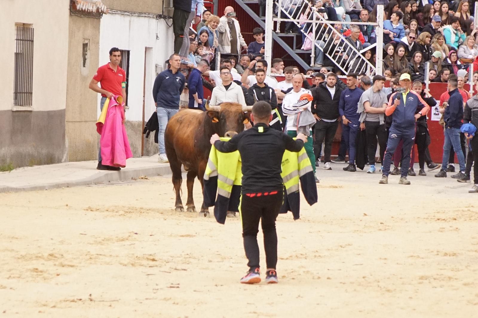 Villoria, toro del Voto