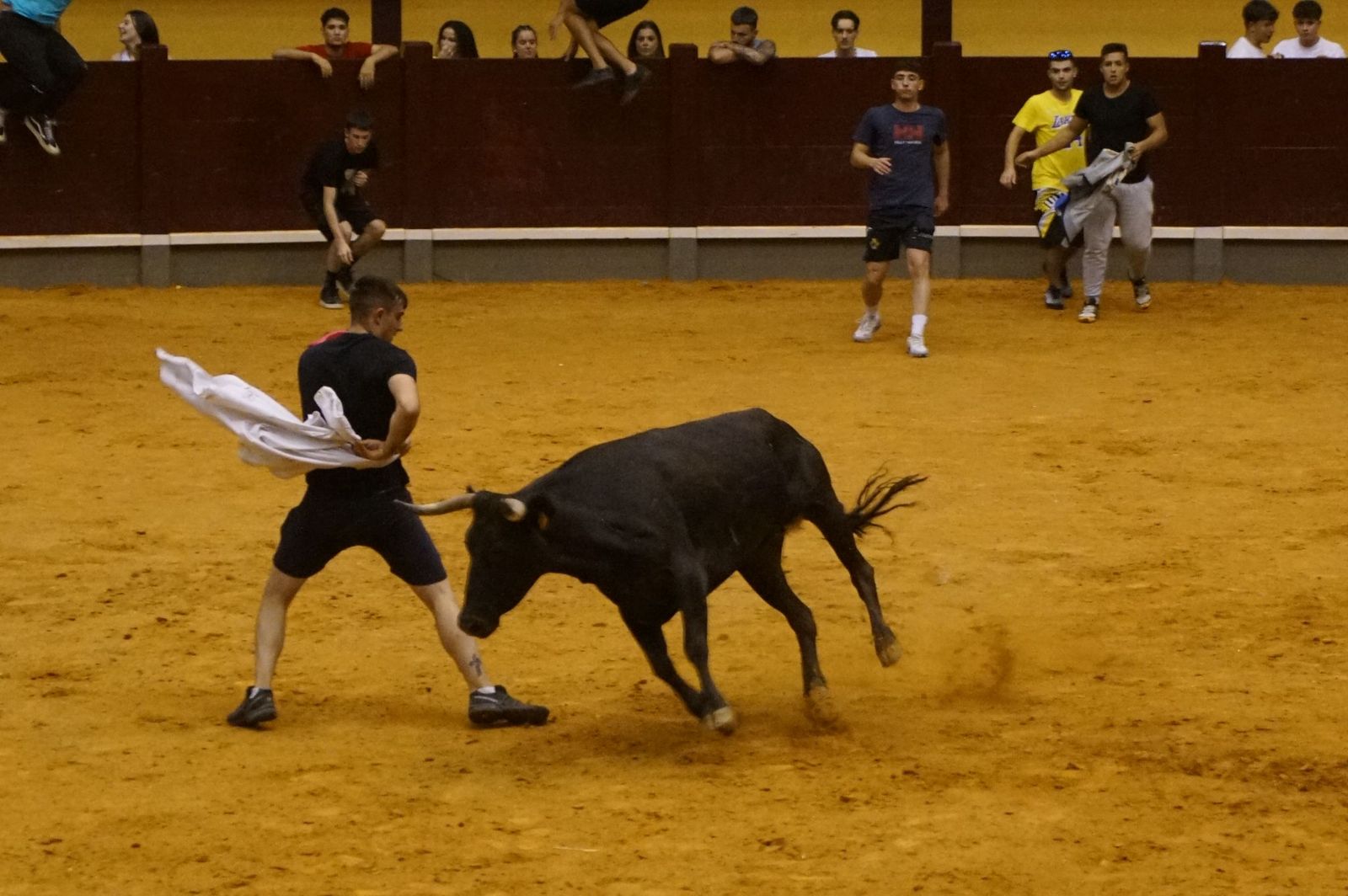 Multitudinario encierro nocturno en Alba de Tormes