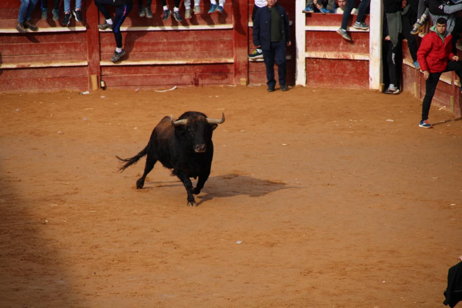 capea-matutina-del-martes-de-carnaval-3