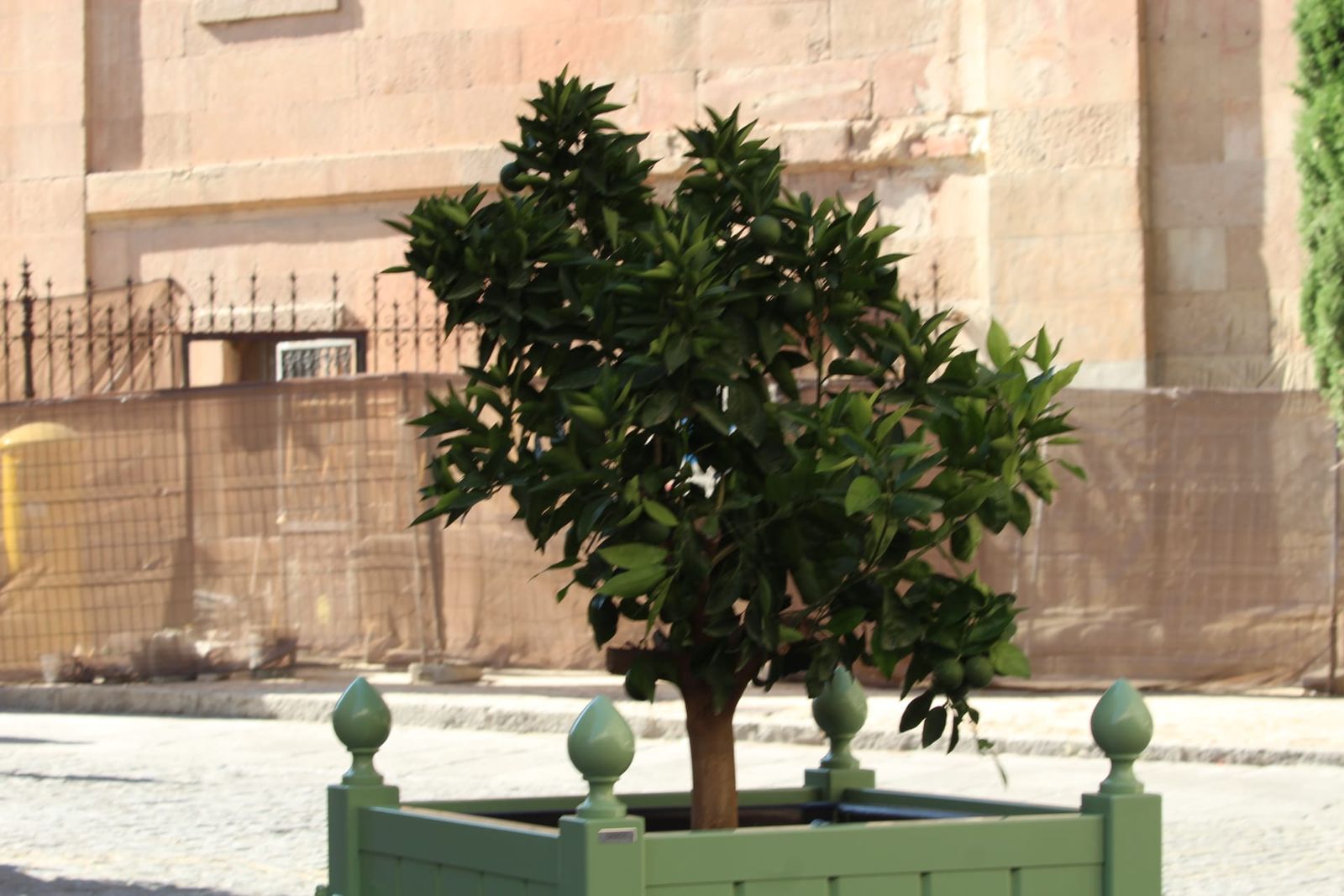 El Ayuntamiento de Salamanca comienza a retirar los maceteros gigantes