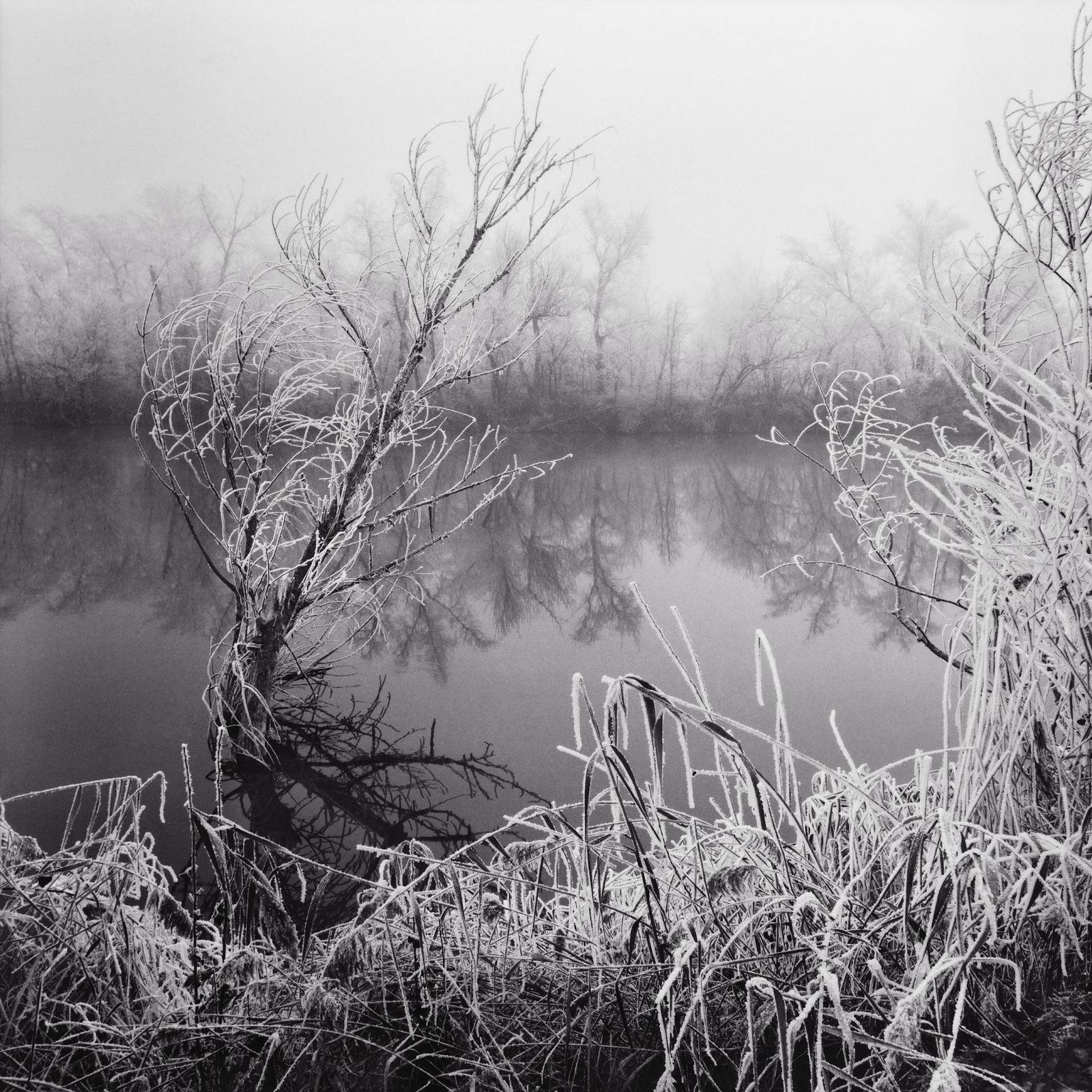 Una de las doce fotos ganadoras de los Premios Internacionales de Fotografía.