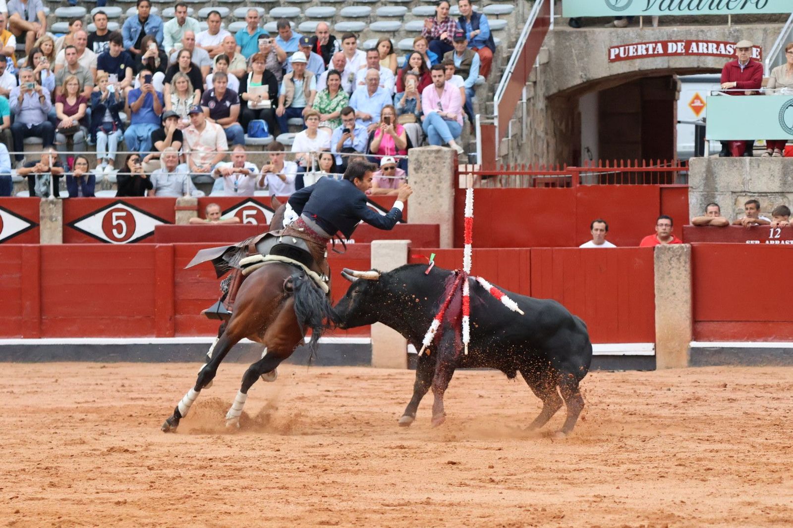 20230909184316-img-0730