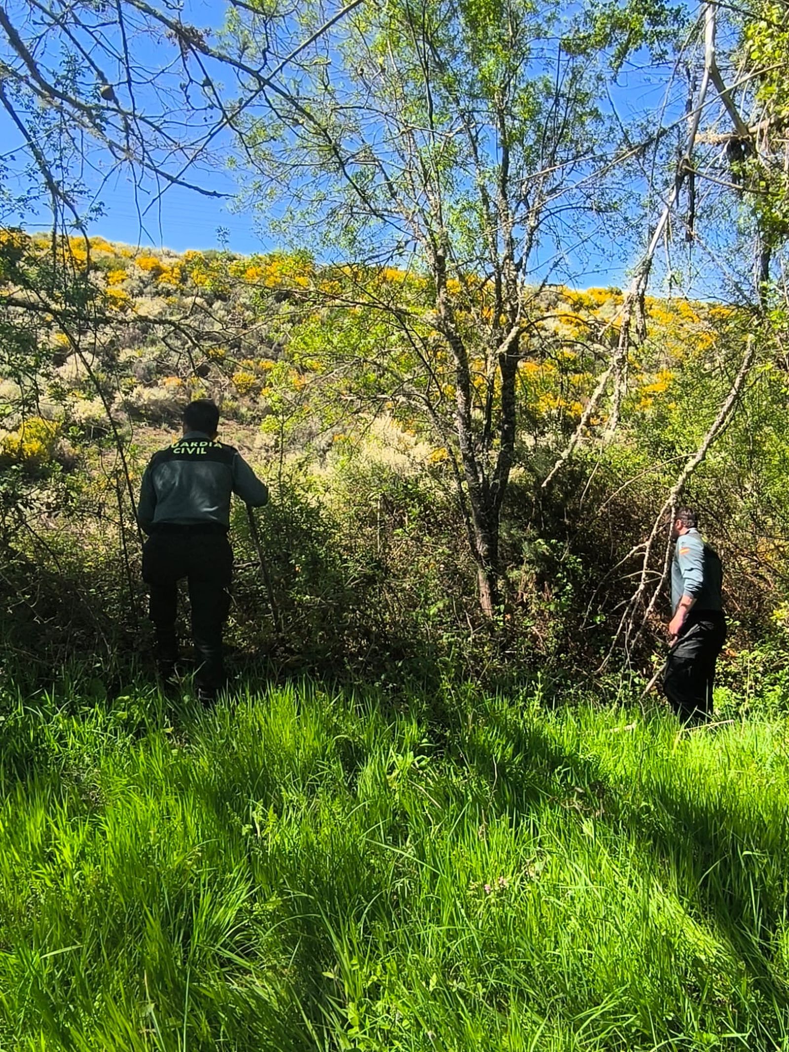 whatsapp-image-2025-05-23-at-13-09-48