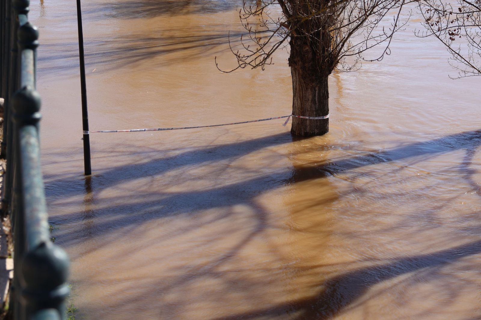 GALERÍA | El Duero muestra su fuerza con una importante crecida tras las lluvias