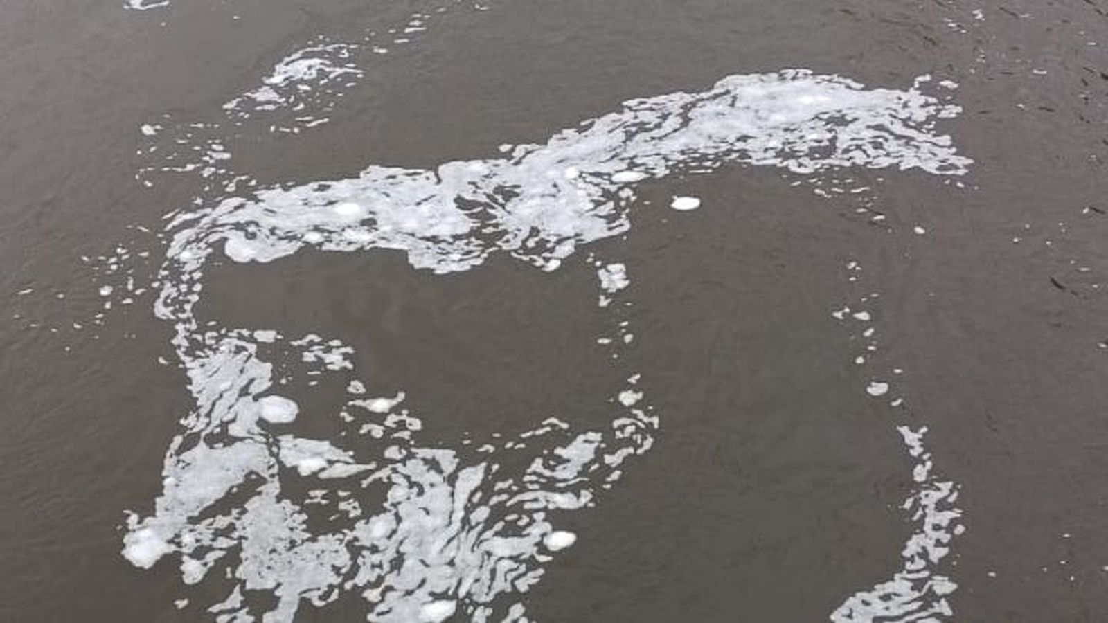 Un extraño vertido en el río Tormes pone en alerta a los salmantinos