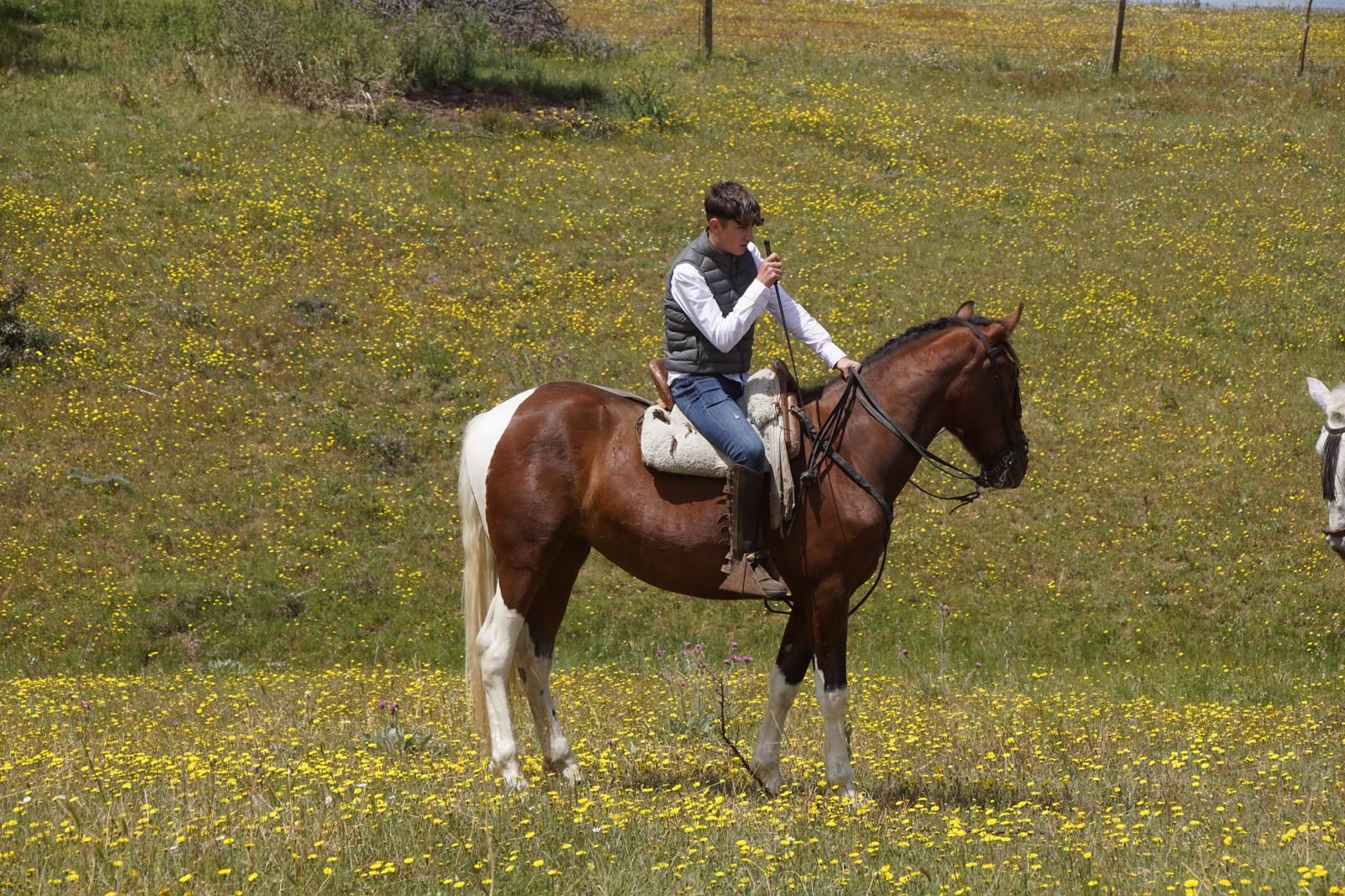 GALERÍA | Misa y Romería en Honor a la Virgen de Valdejimena