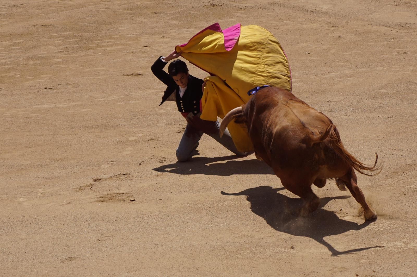 marco-perez-estreno-de-oro-en-las-ventas-7