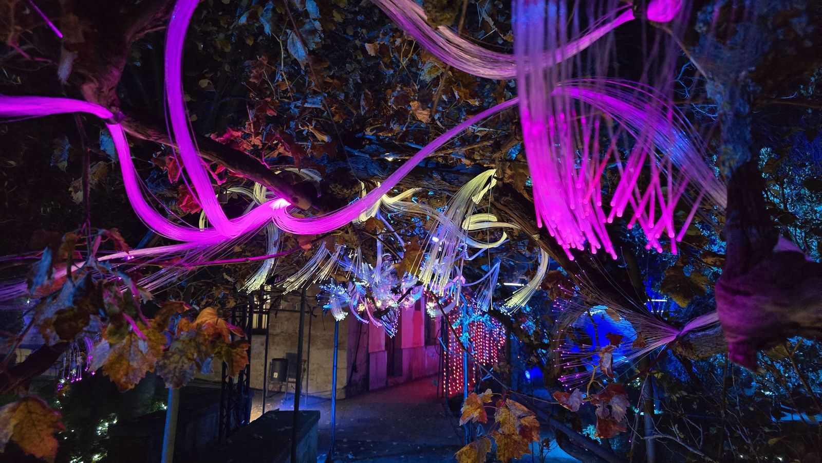 Pase para gráficos del ‘Jardín mágico del Huerto de Calixto y Melibea’