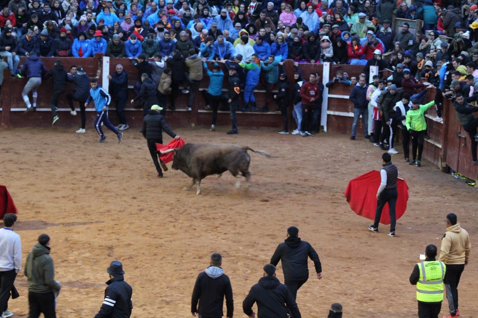 ambiente-y-capea-vespertina-sabado-de-carnaval-en-ciudad-rodrigo-2025-fotos-belen-hurtado-72