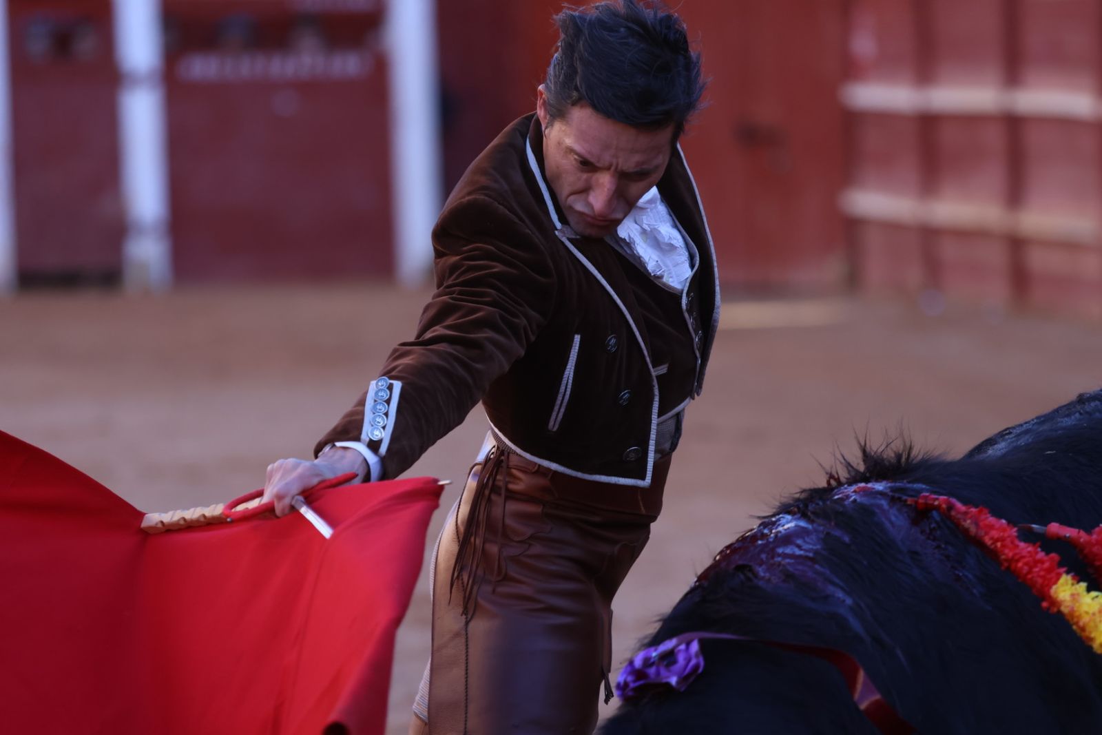 Festival taurino del Sábado en el Carnaval del Toro 2026 de Ciudad Rodrigo