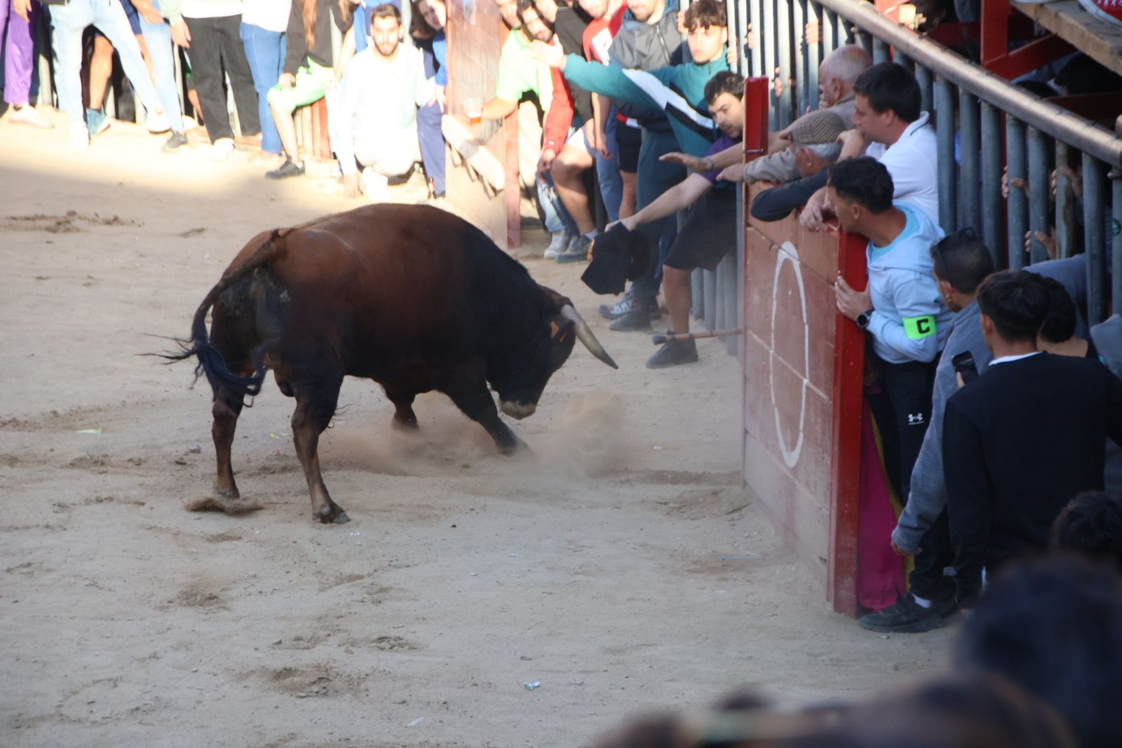 Encierro en Aldeadávila