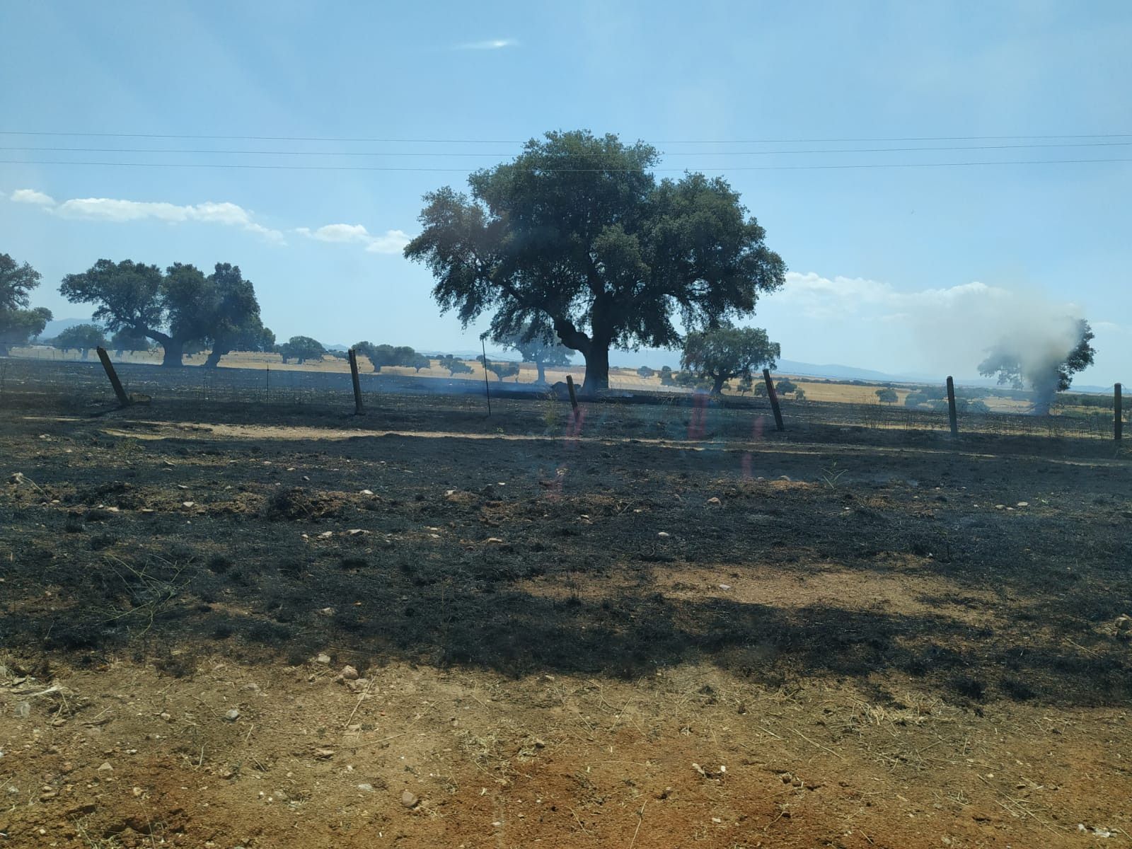 WhatsApp Image 2019 08 03 at 21.19.15