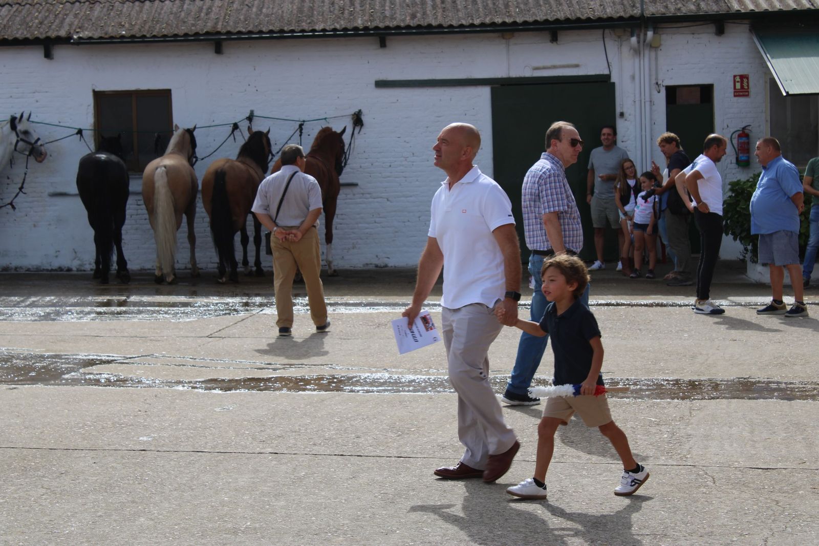Un encierro de grata presentación de Sánchez y Sánchez para corrida de rejones de la feria