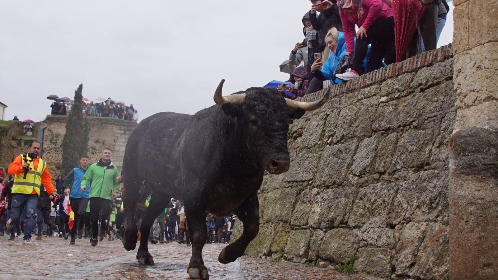 Desencierro toros Lunes 3 de marzo Carnaval del Toro de Ciudad Rodrigo