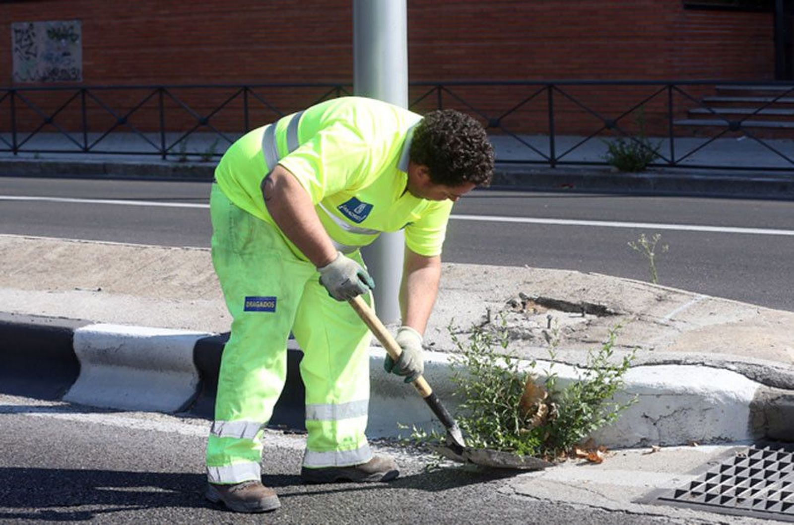 Un operario retira vegetación