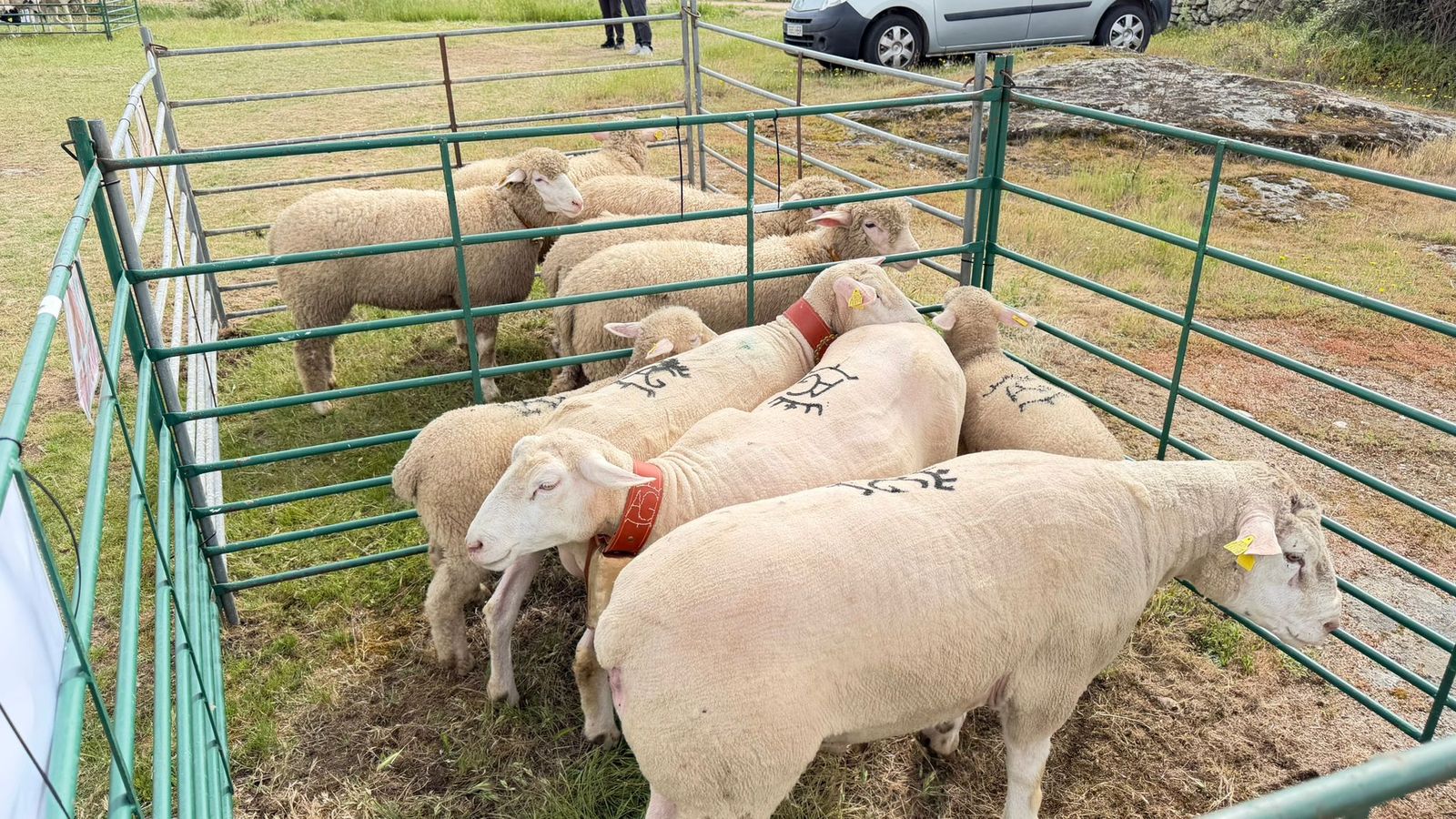 Feria Barruecopardo 1 de mayo 2026