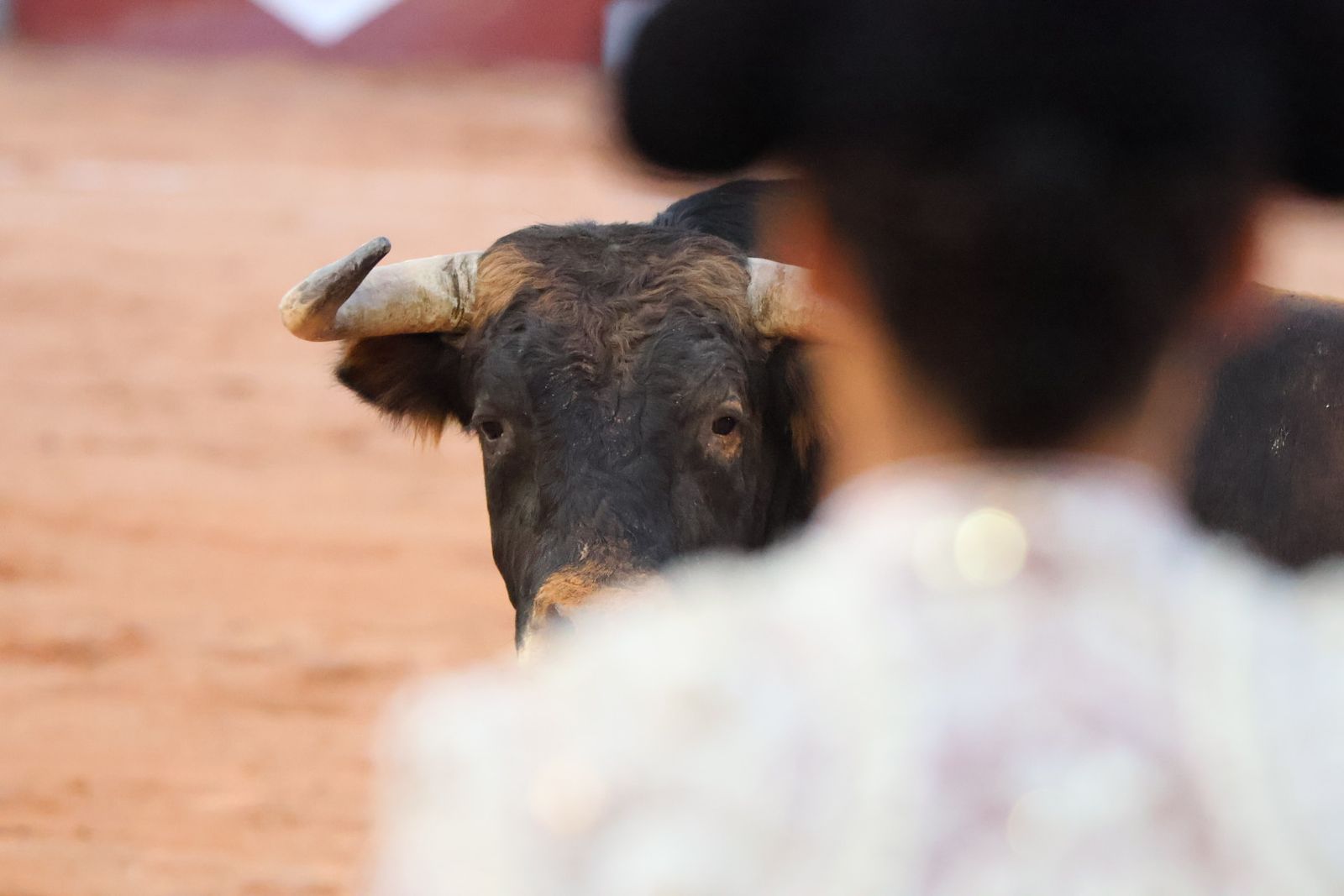 La Glorieta revive el aroma de la feria taurina con el primer festejo: Lea Vicens, Raquel Martín y Olga Casado