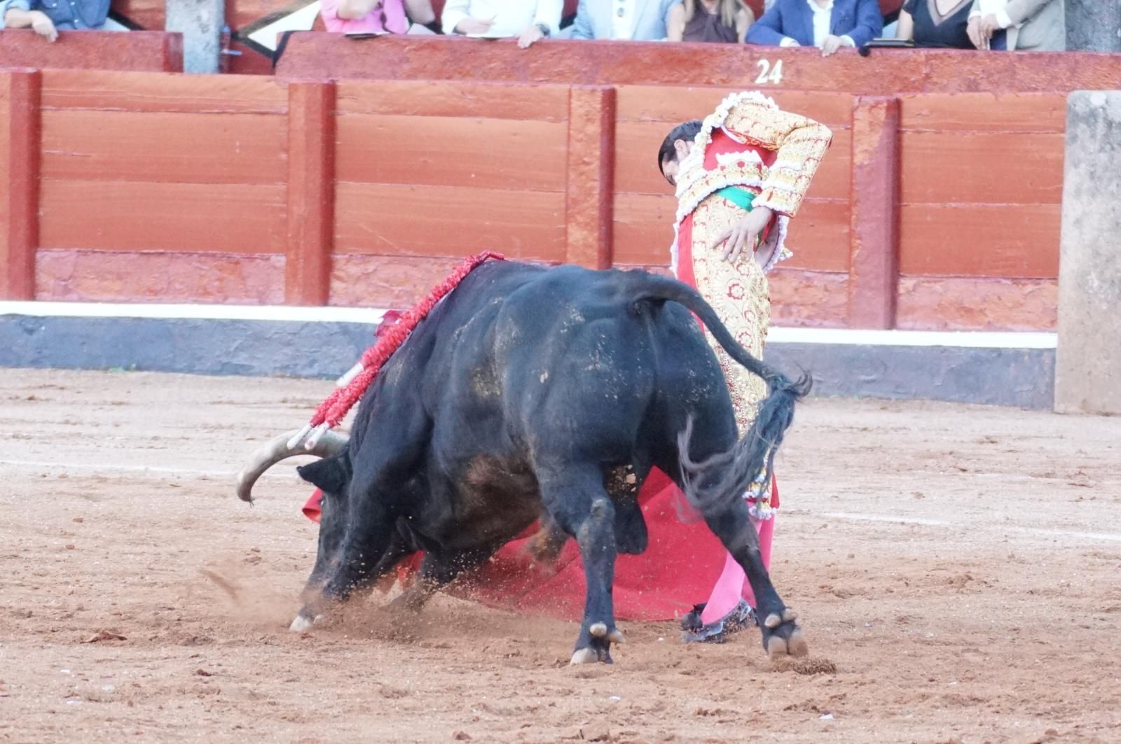 Emilio de Justo, Juan Ortega y Roca Rey inauguran el cartel de figuras en la feria de Salamanca: la corrida de Garcigrande en imágenes