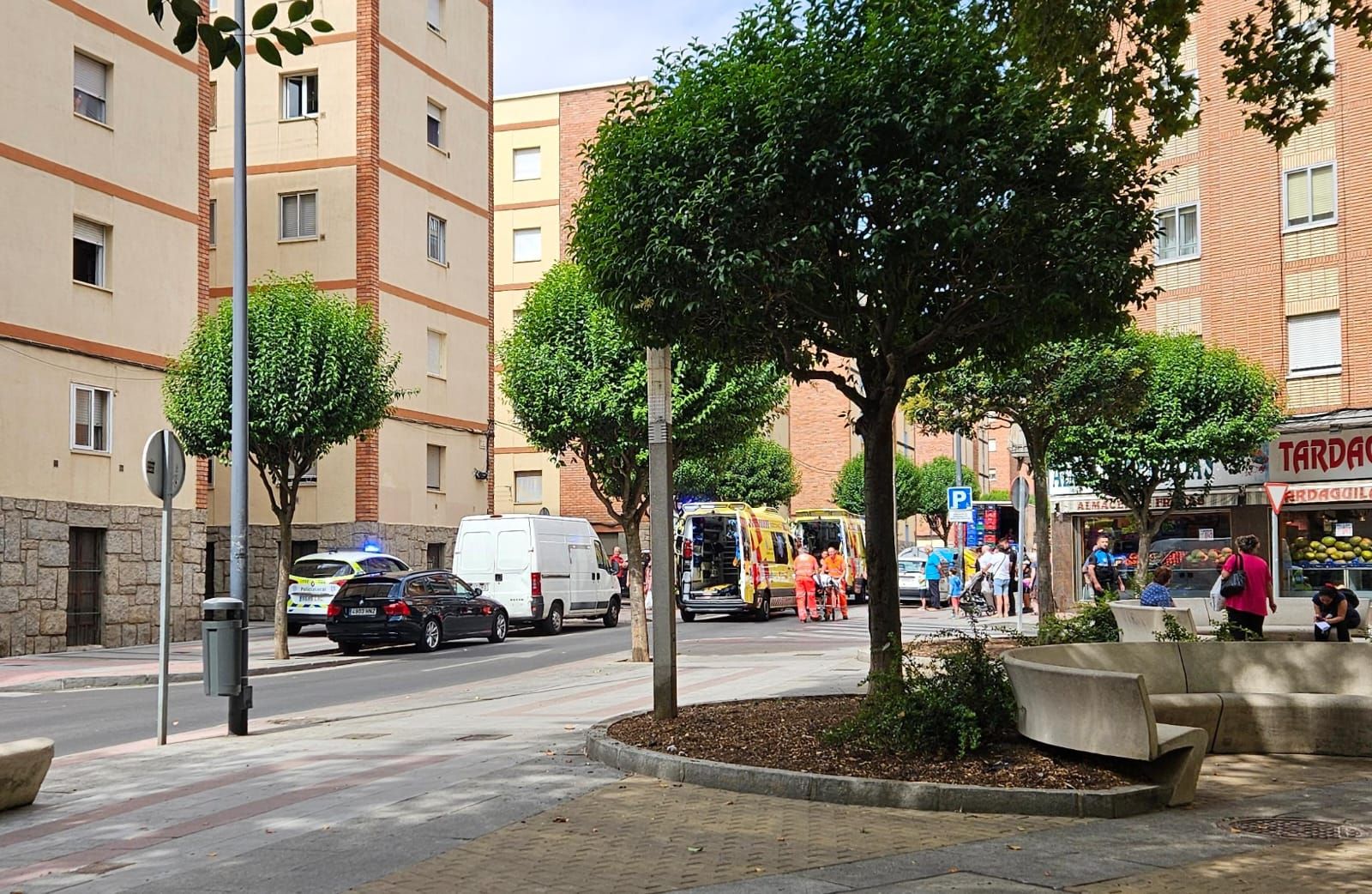 Acto vandálico en la avenida de Los Cedros