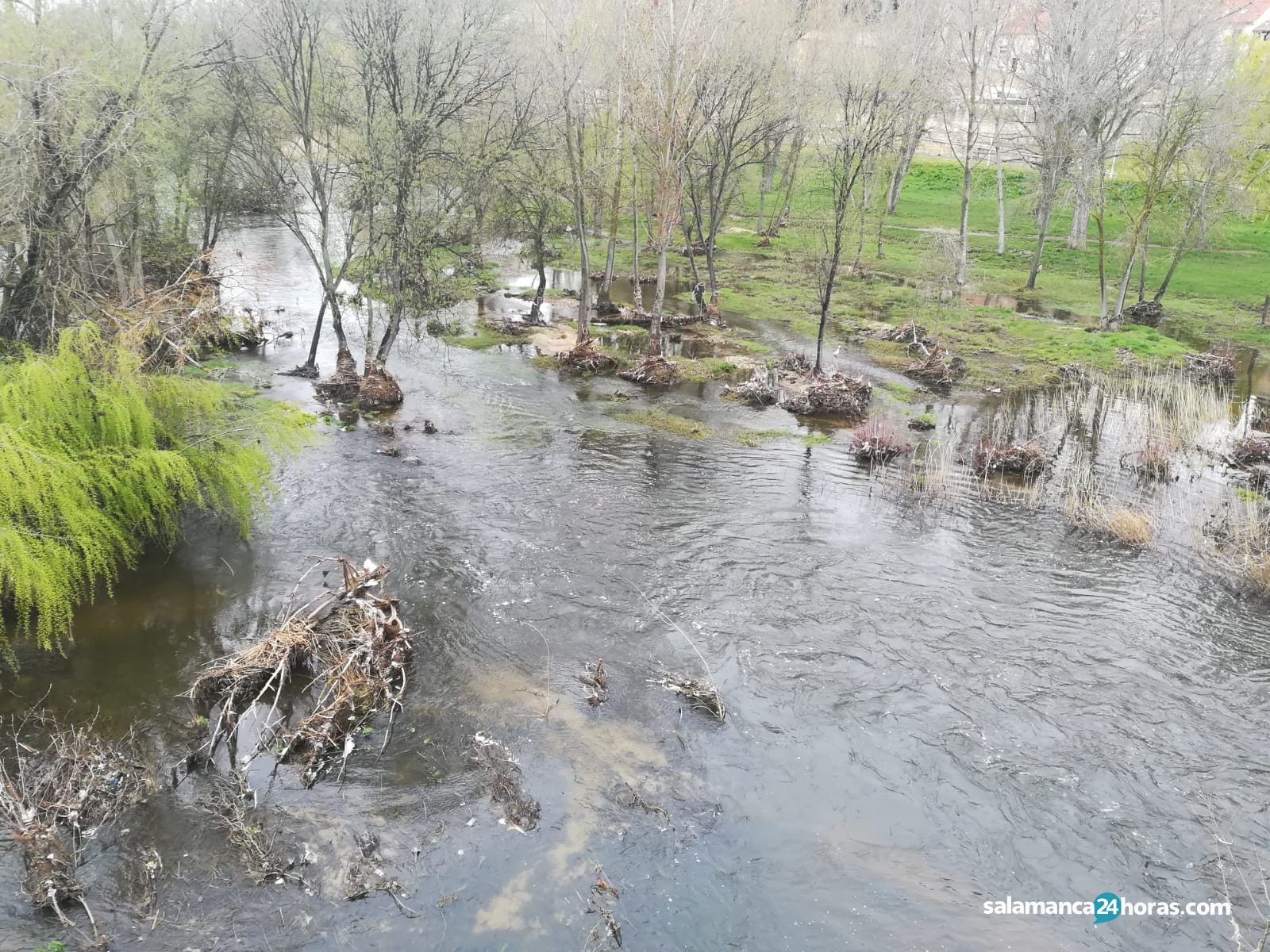 Río Tormes Lunes de Aguas (1)