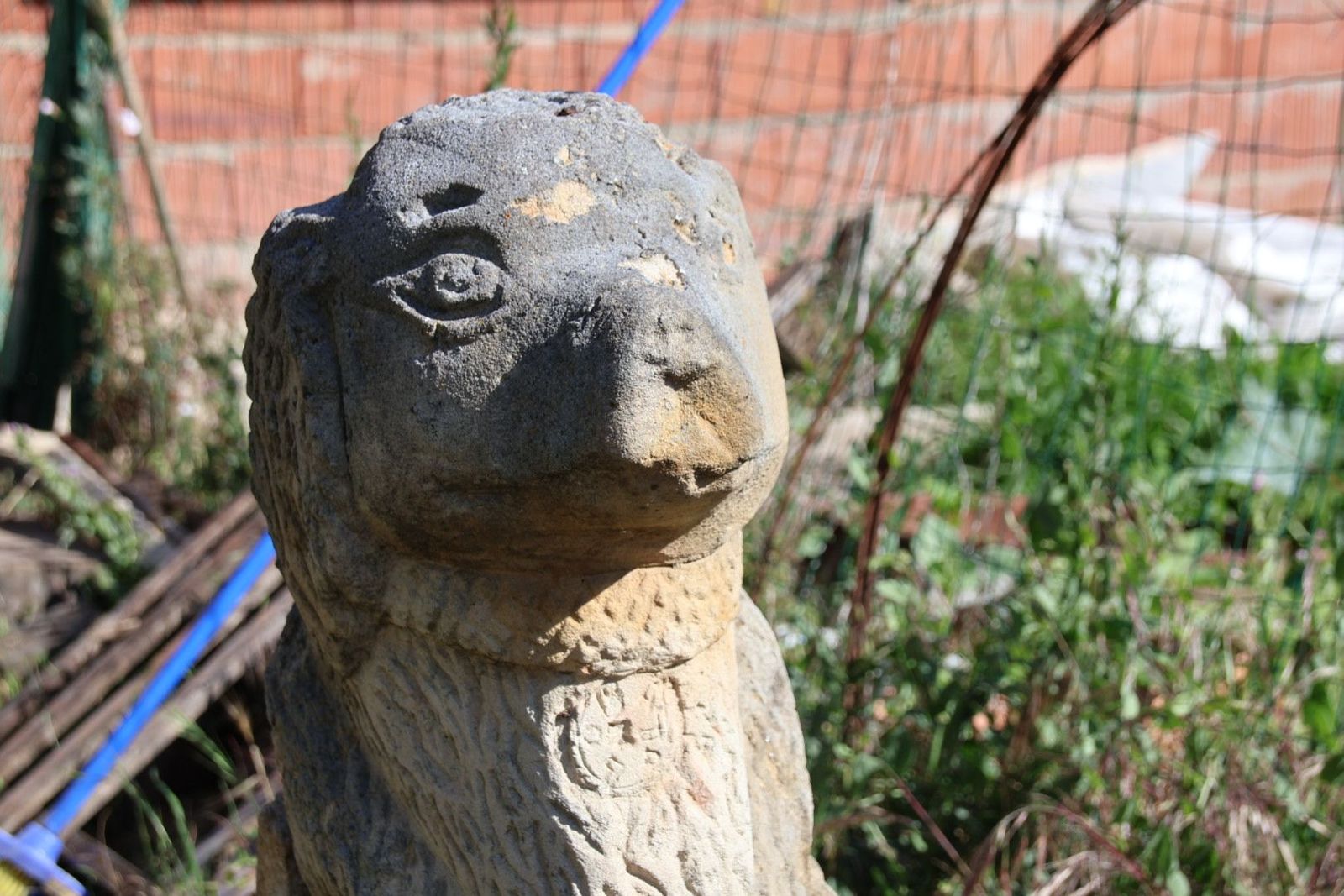 20230614092655-img-2669