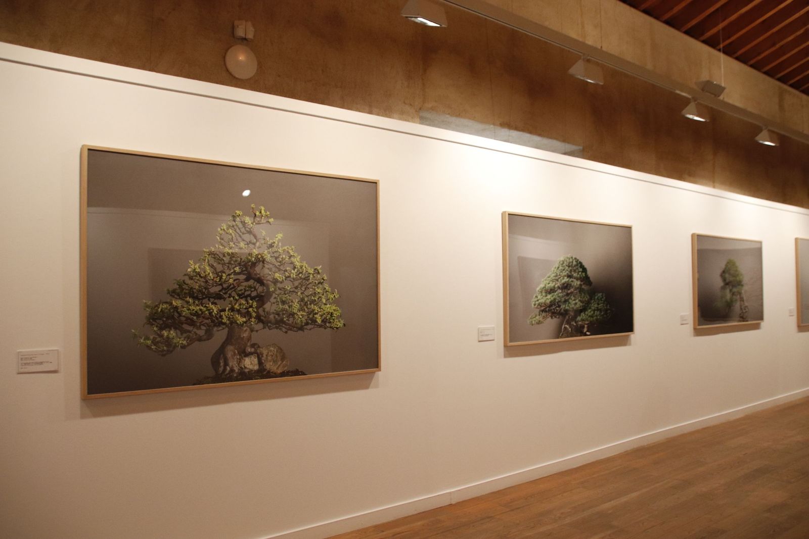 20220120105747-mg-4484