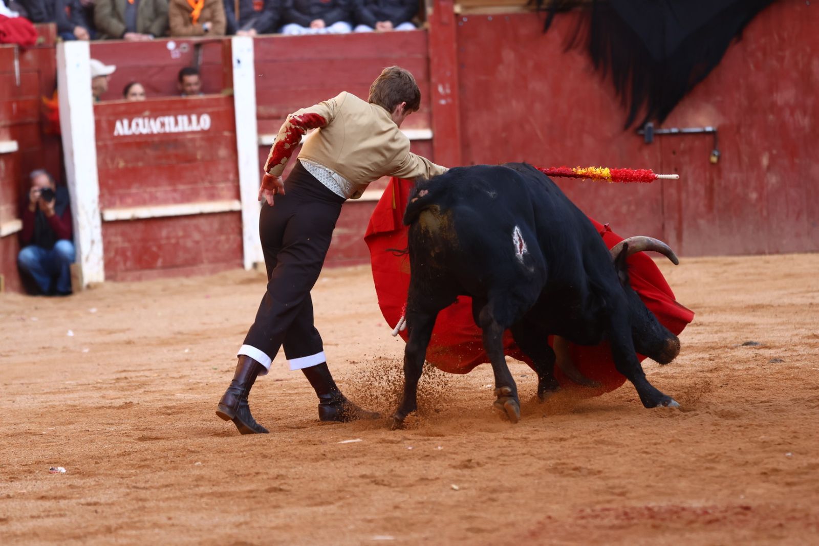 Festival del martes en el Carnaval del Toro 2026