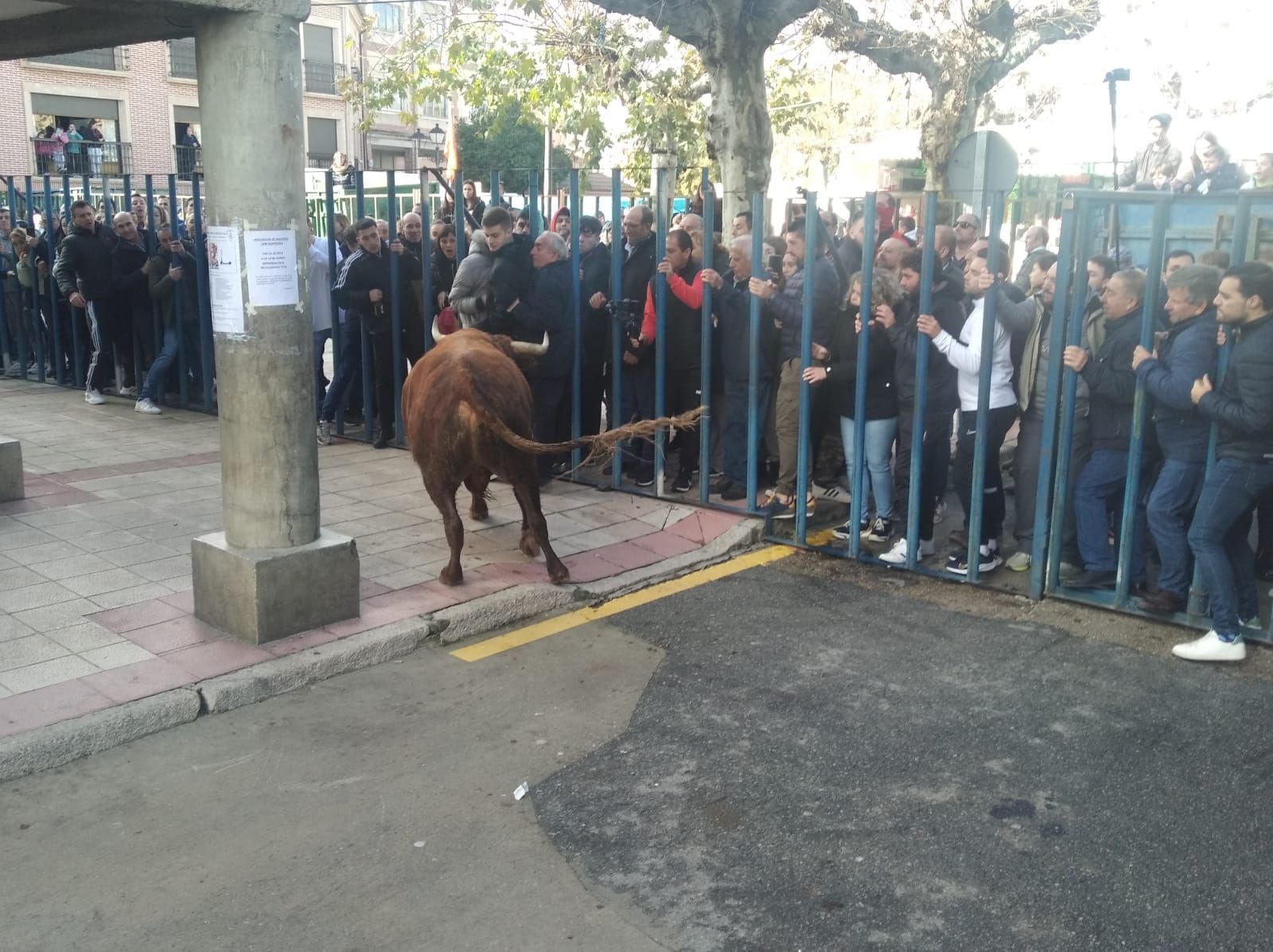 whatsapp-image-2022-12-10-at-14-01-56