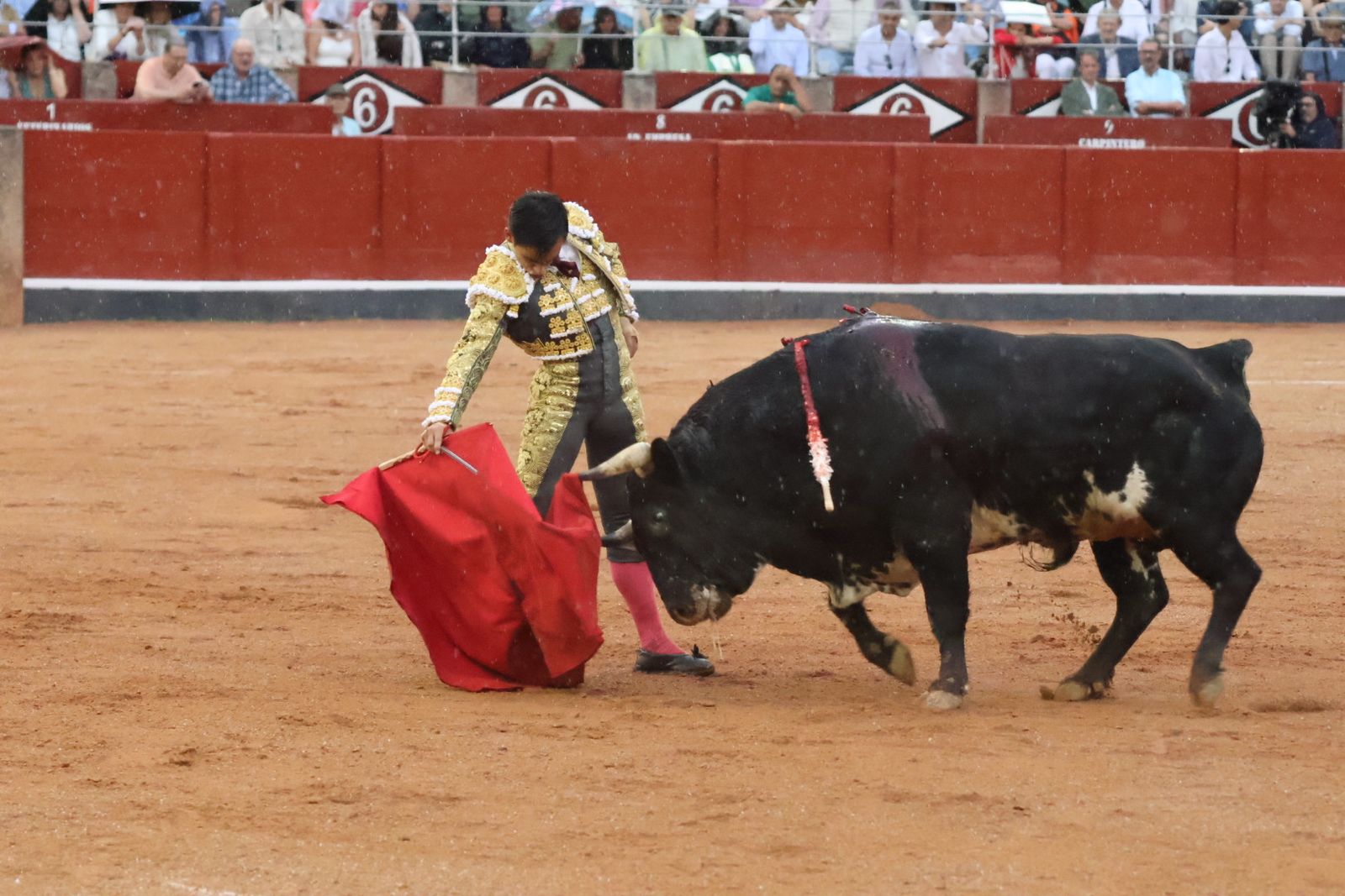 Ismael Martín, Marco Pérez y el aclamado regreso de Morante de la Puebla: su paso por La Glorieta en imágenes