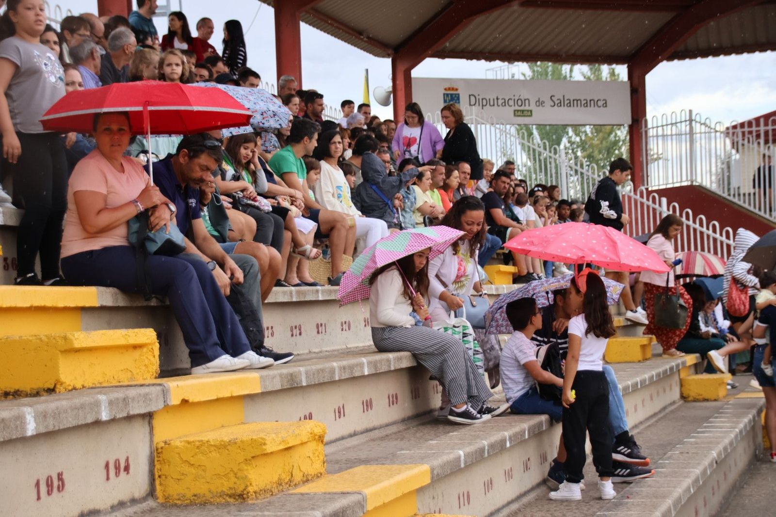 20230902114127-img-7168