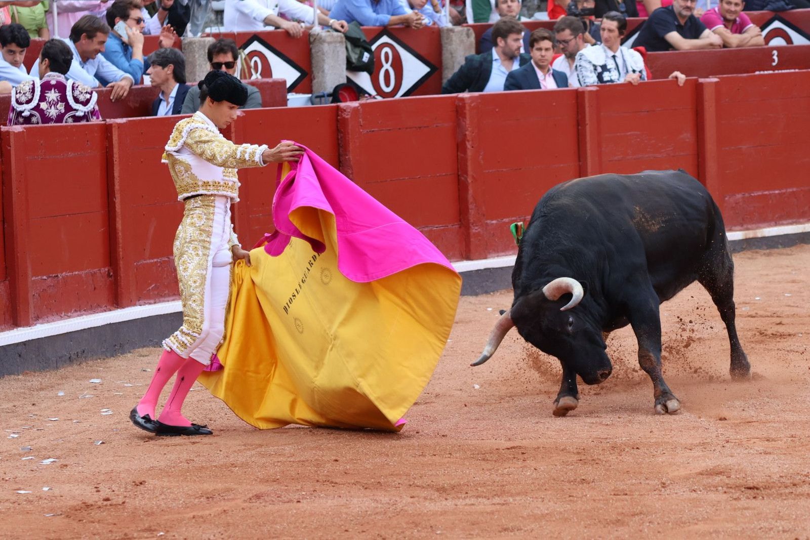 20230910175602-img-1916