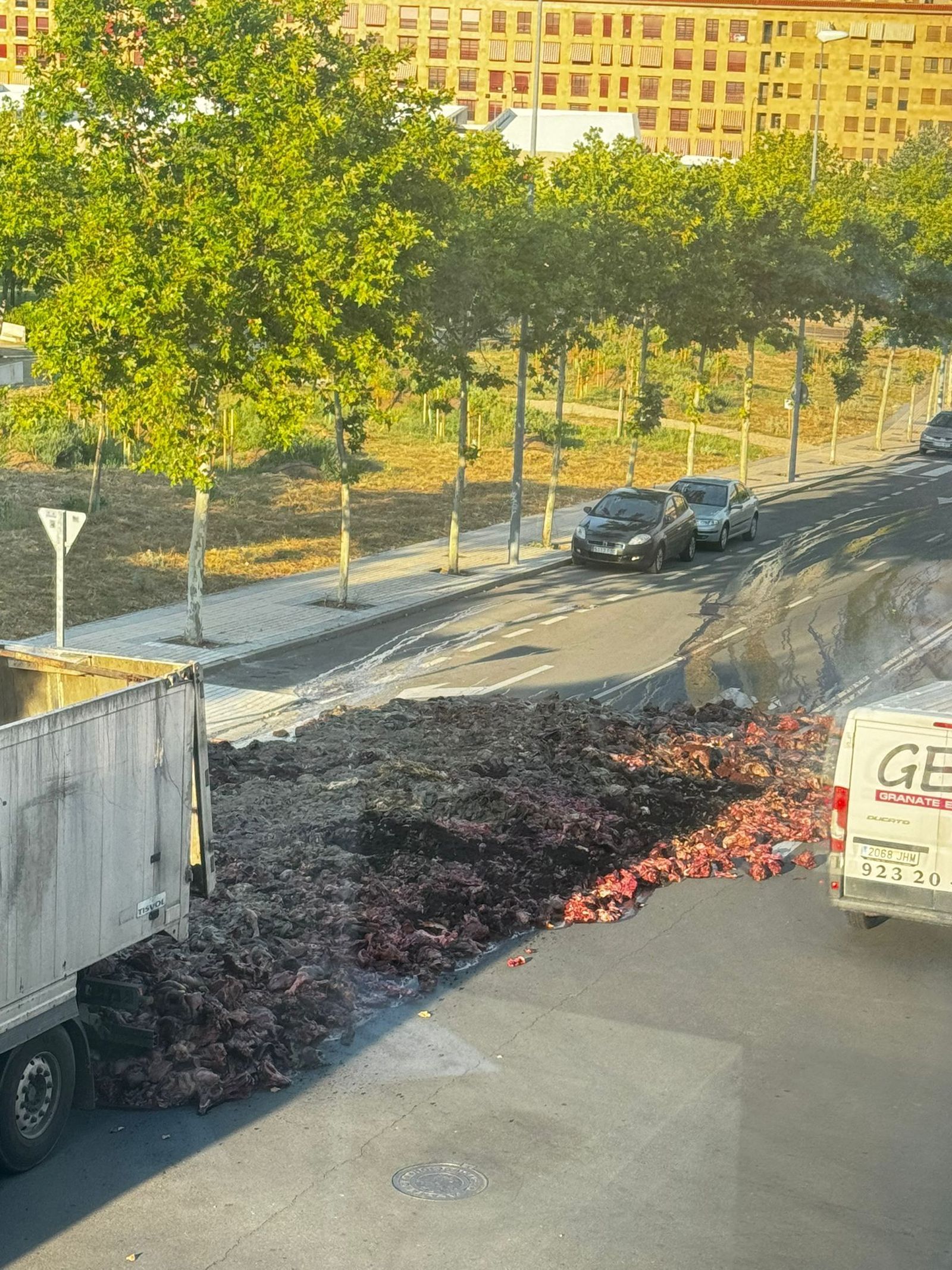 whatsapp-image-2024-07-24-at-20-14-30