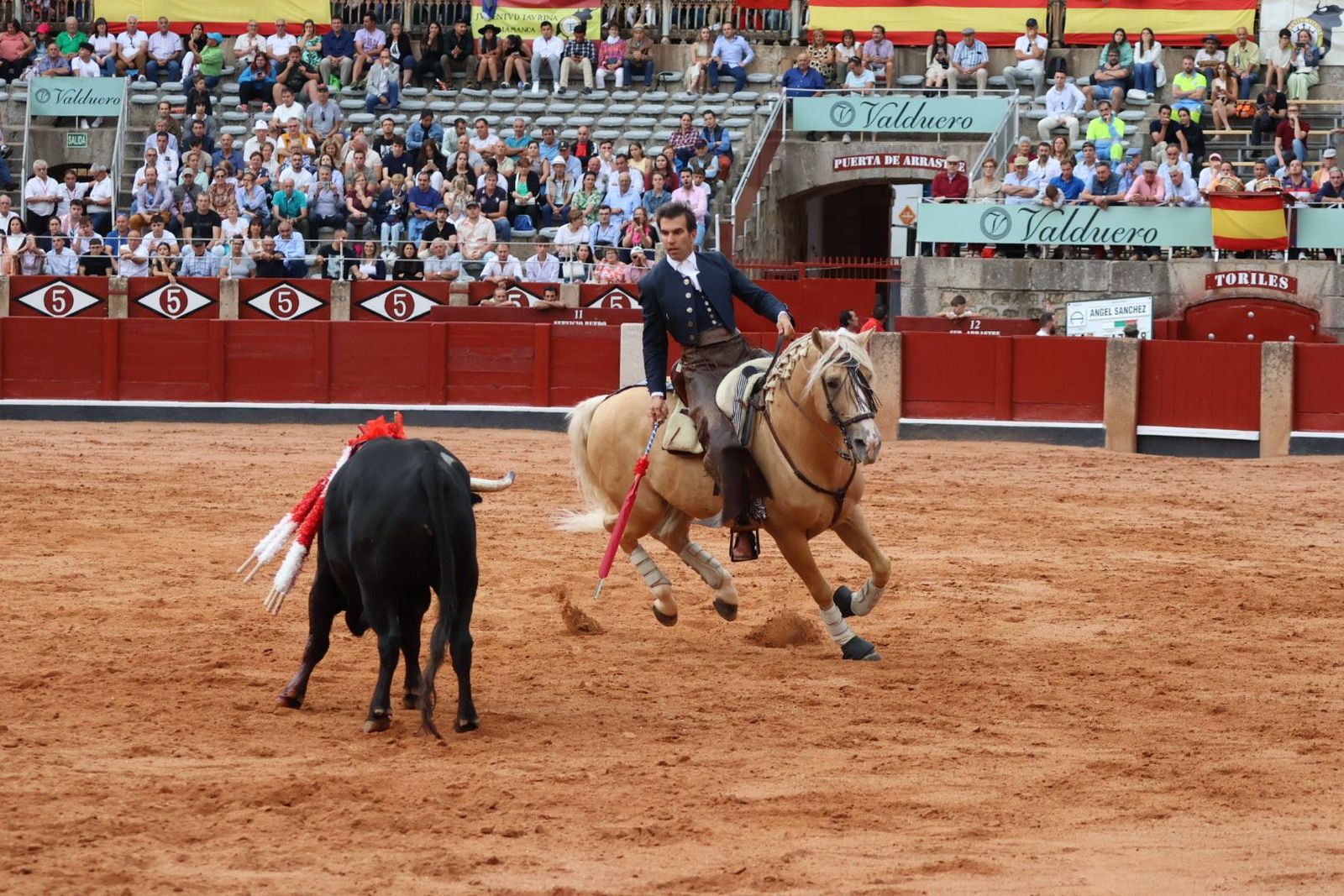 20230909184807-img-0752