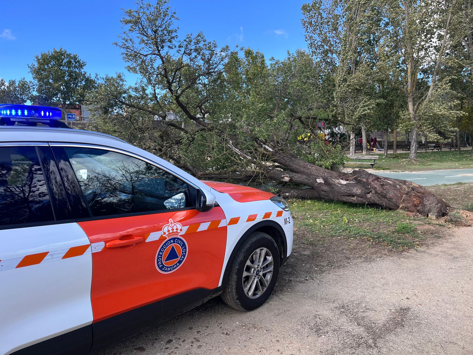 imagen-de-whatsapp-2024-10-09-a-las-17-45-01-929be3f6