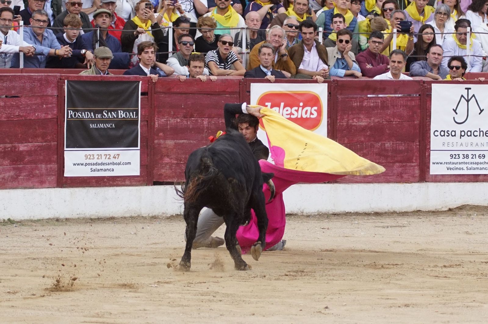 whatsapp-image-2024-10-05-at-19-57-12