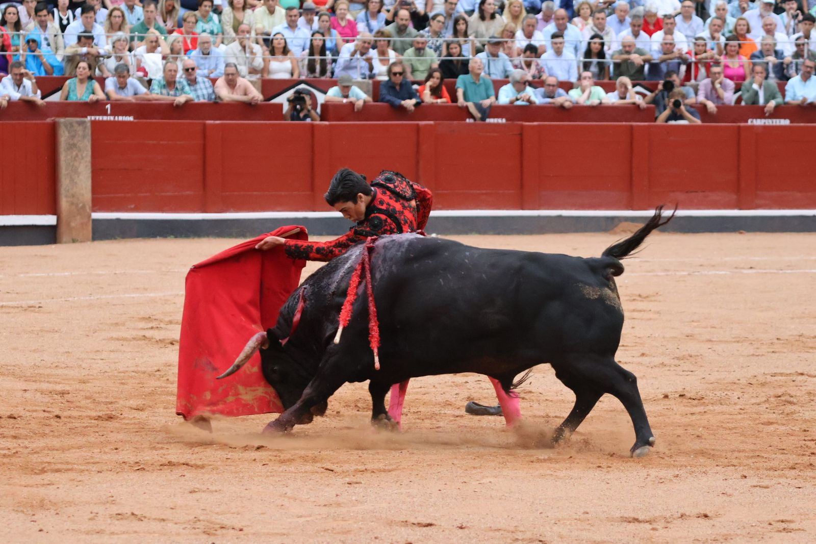 Ismael Martín, Marco Pérez y el aclamado regreso de Morante de la Puebla: su paso por La Glorieta en imágenes