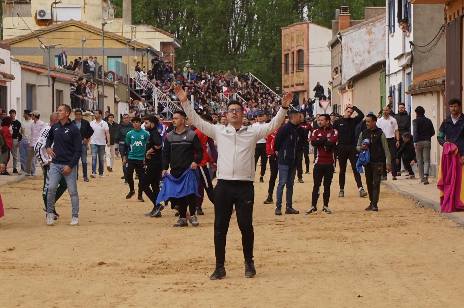 Villoria, toro del Voto