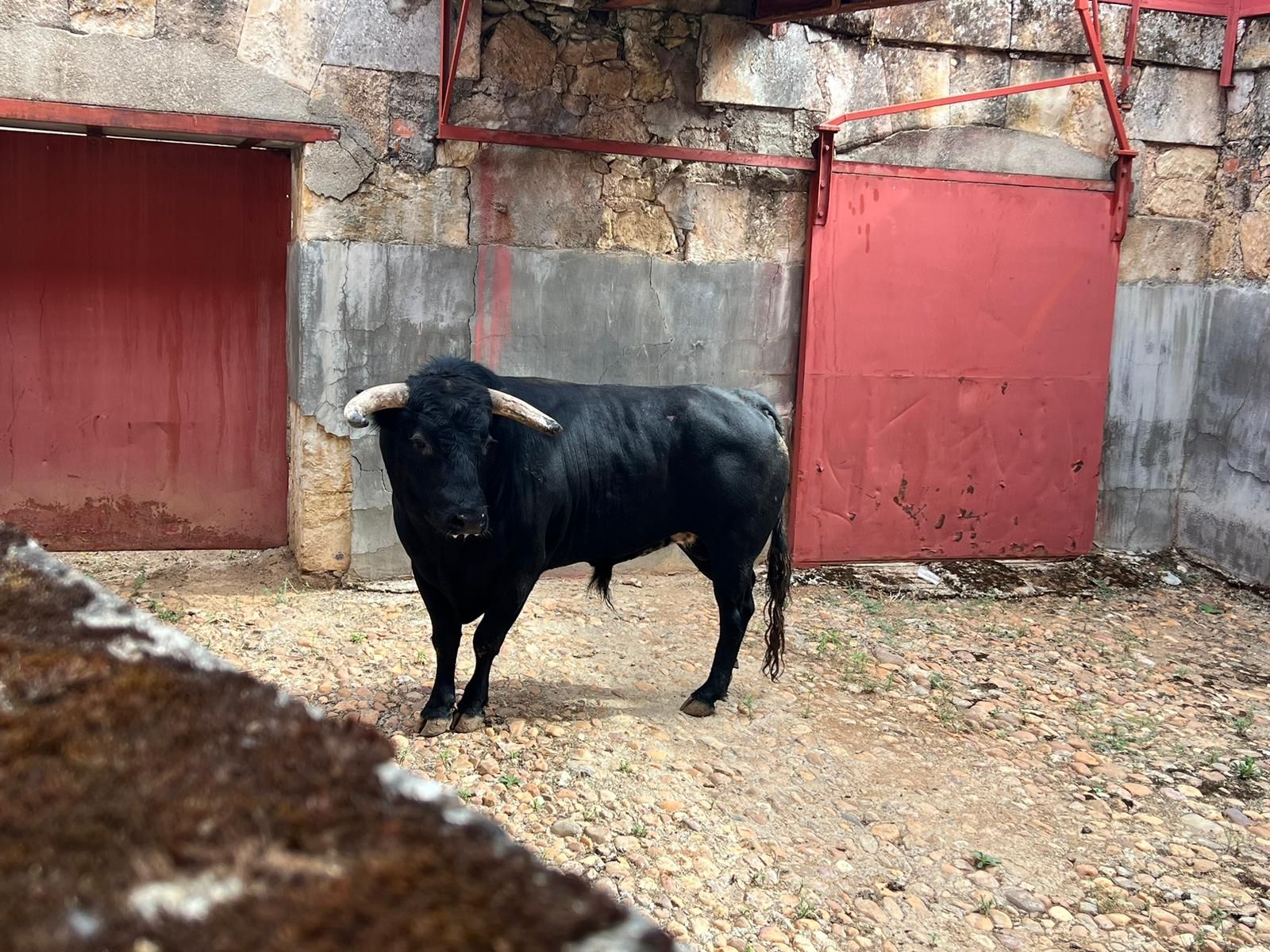 whatsapp-image-2023-09-09-at-12-22-26