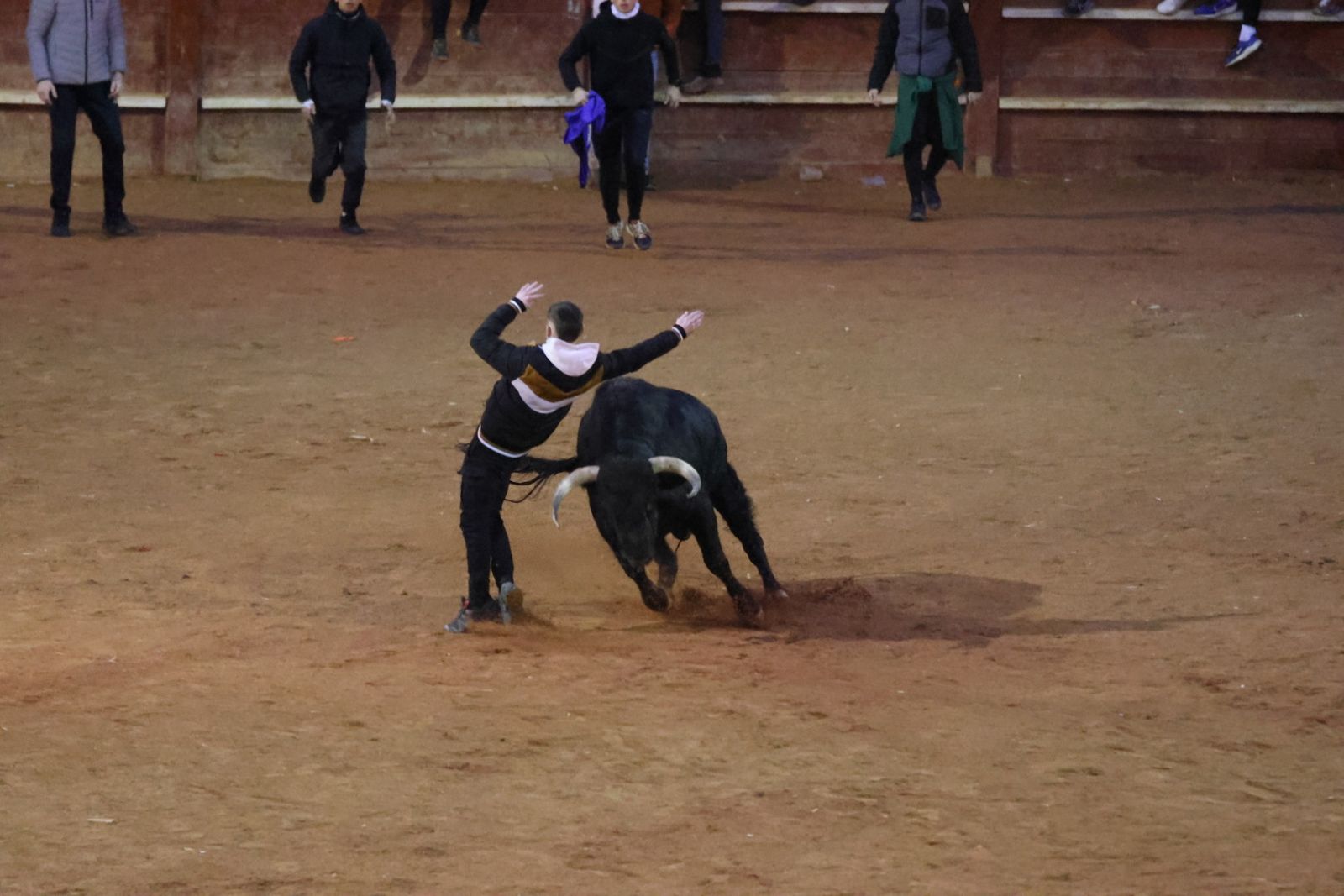 Capea y desencierro de domingo tarde en el Carnaval del Toro 2026
