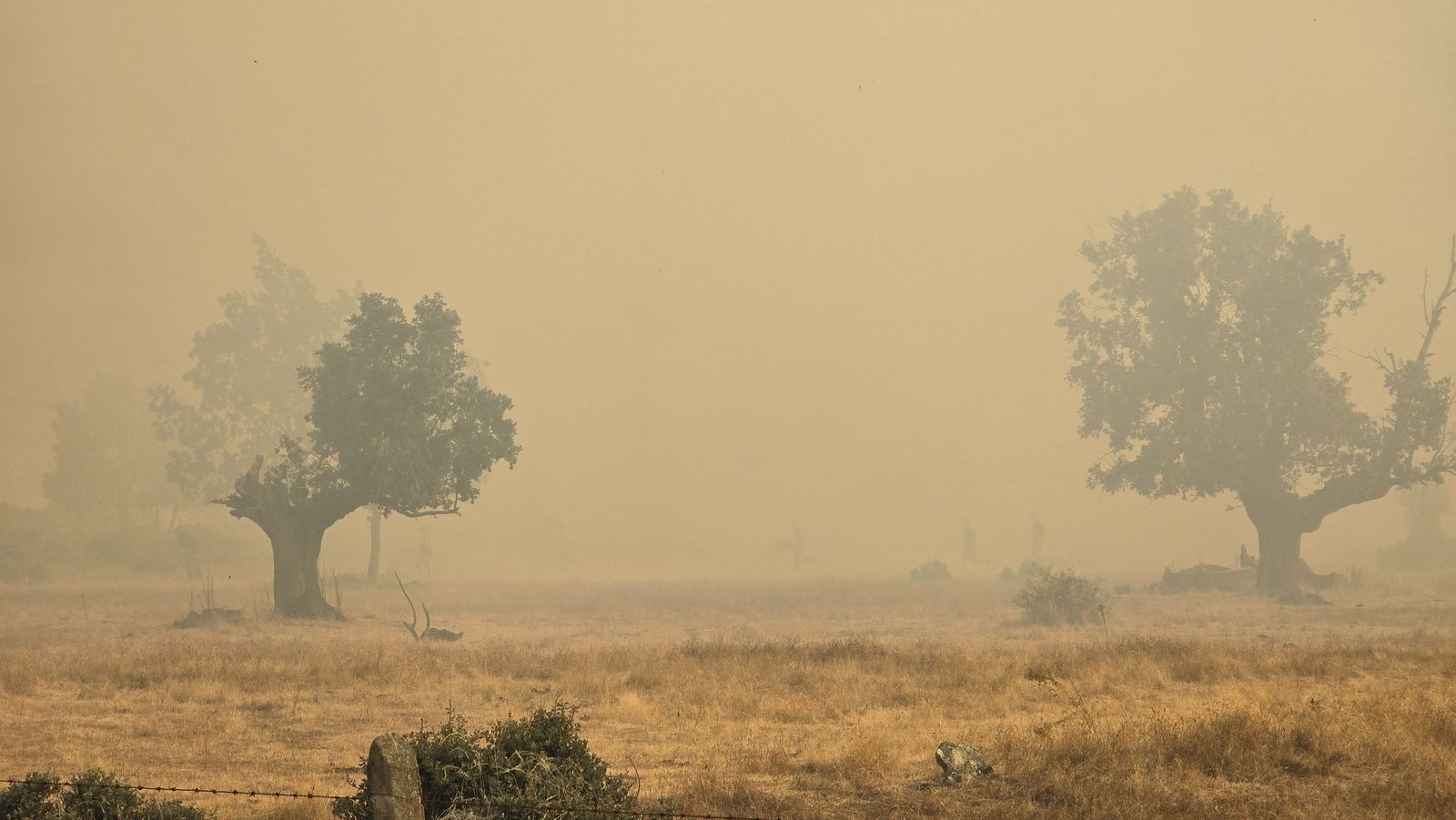 El incendio de Cipérez (IGR2) llega hasta Cerezal de Puertas