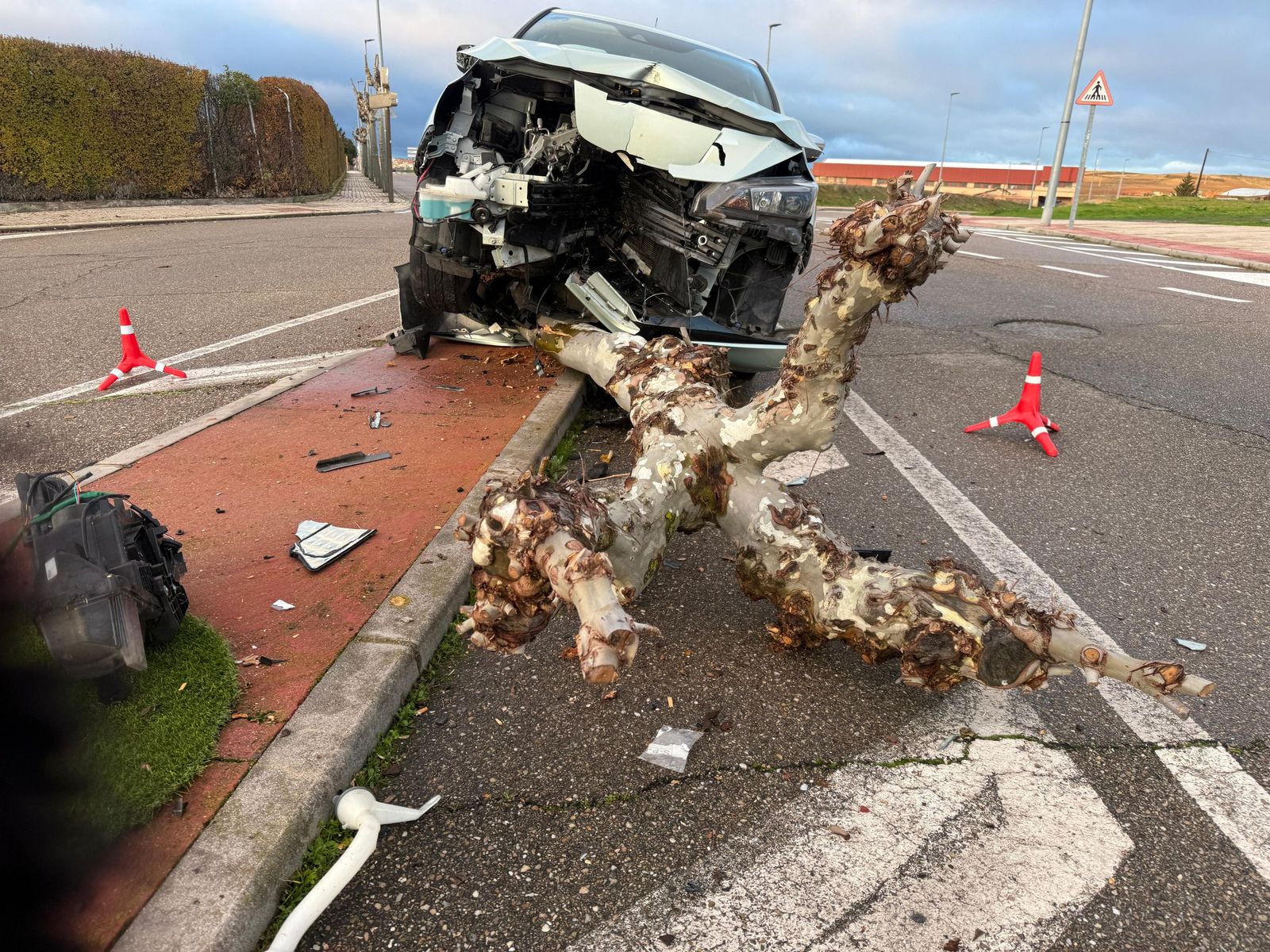 Un coche queda destrozado tras empotrarse contra un árbol en Cabrerizos
