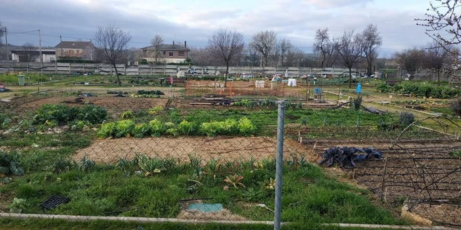 Huertos urbanos almaraz